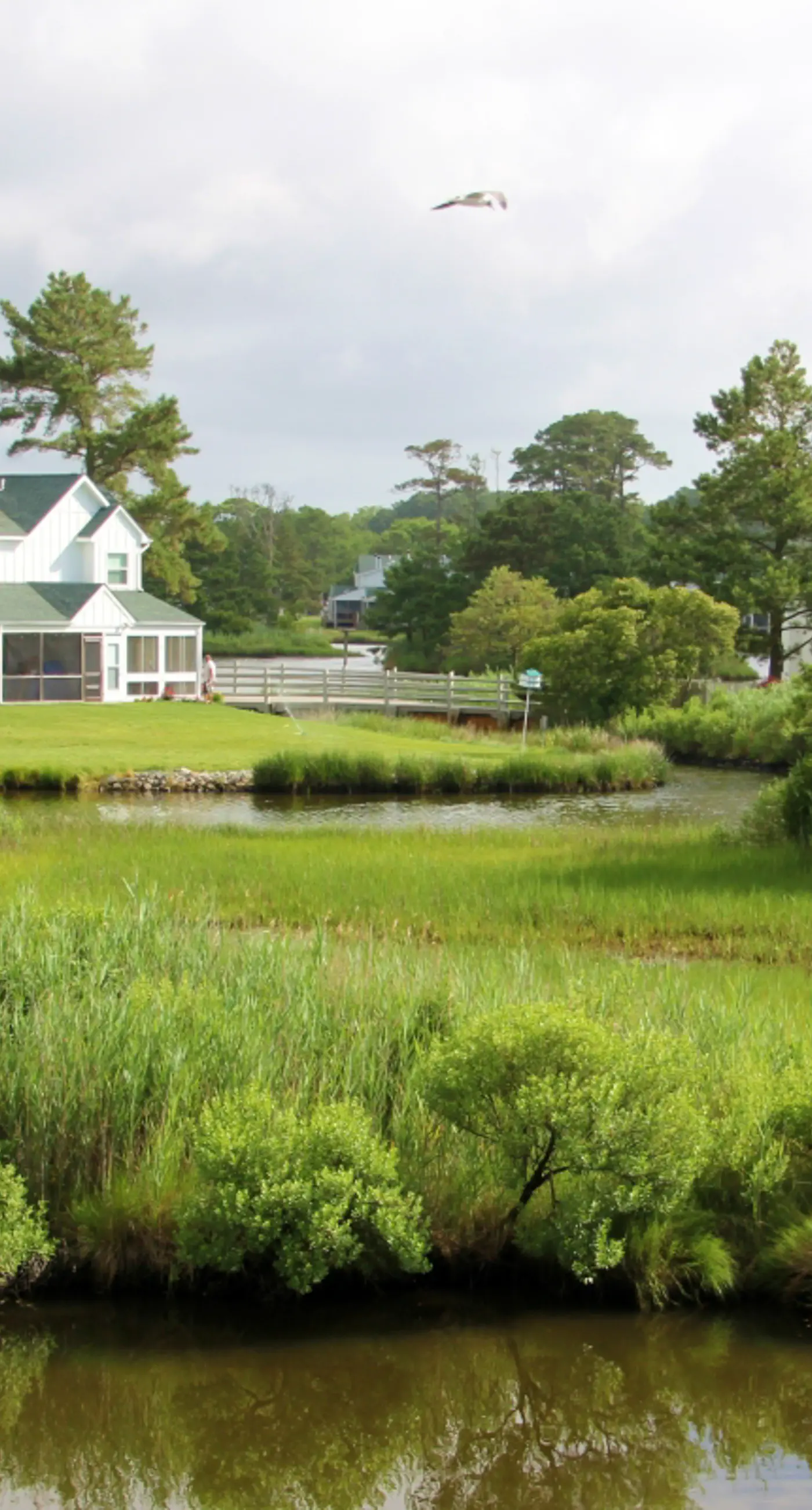 Mallard Lakes - 38256 Hummingbird Ln #218