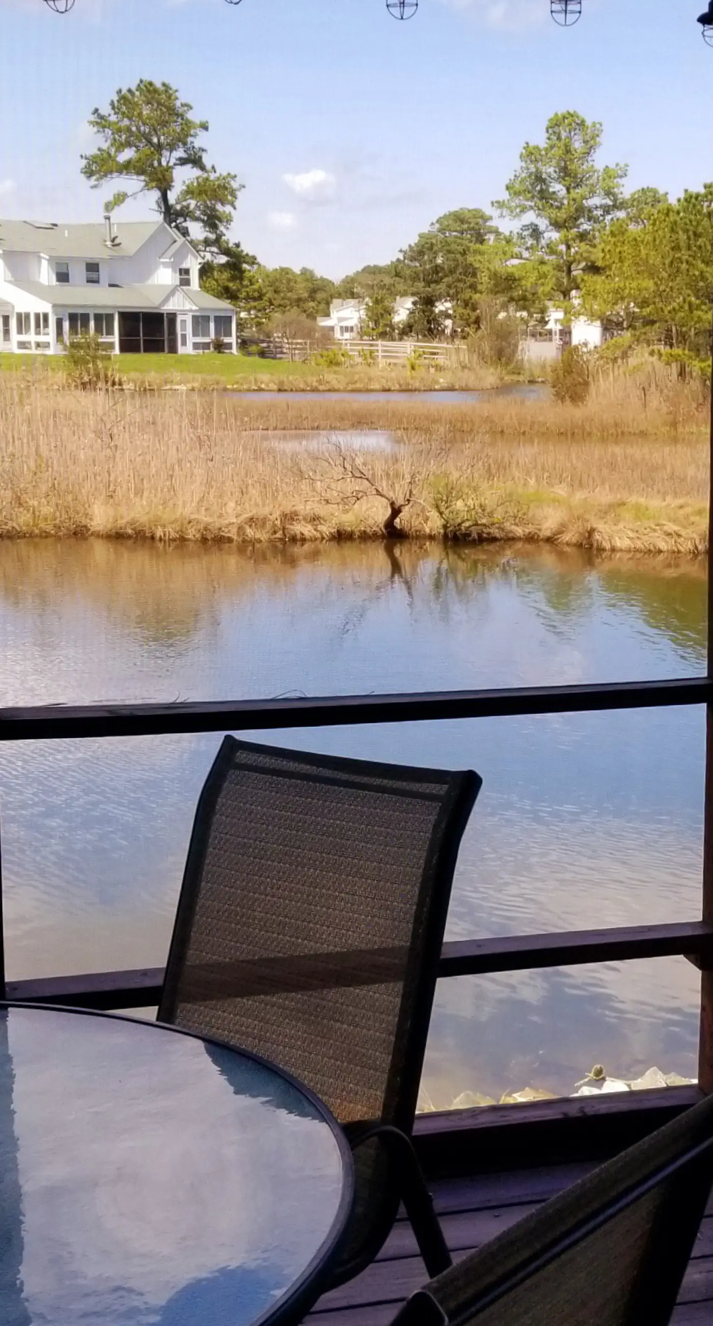 Mallard Lakes - 38256 Hummingbird Ln #218