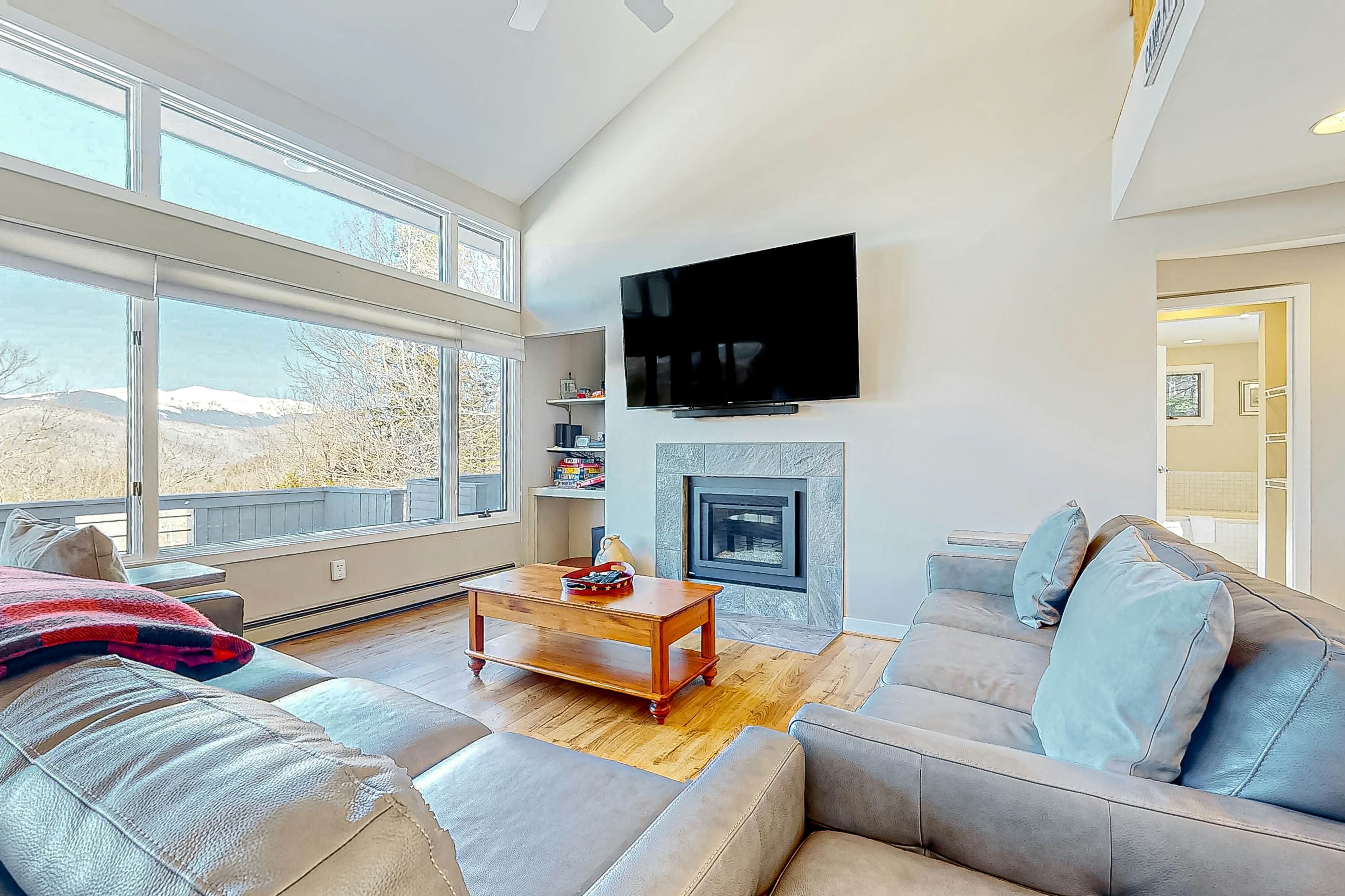 Tin Mountain Treetops Time