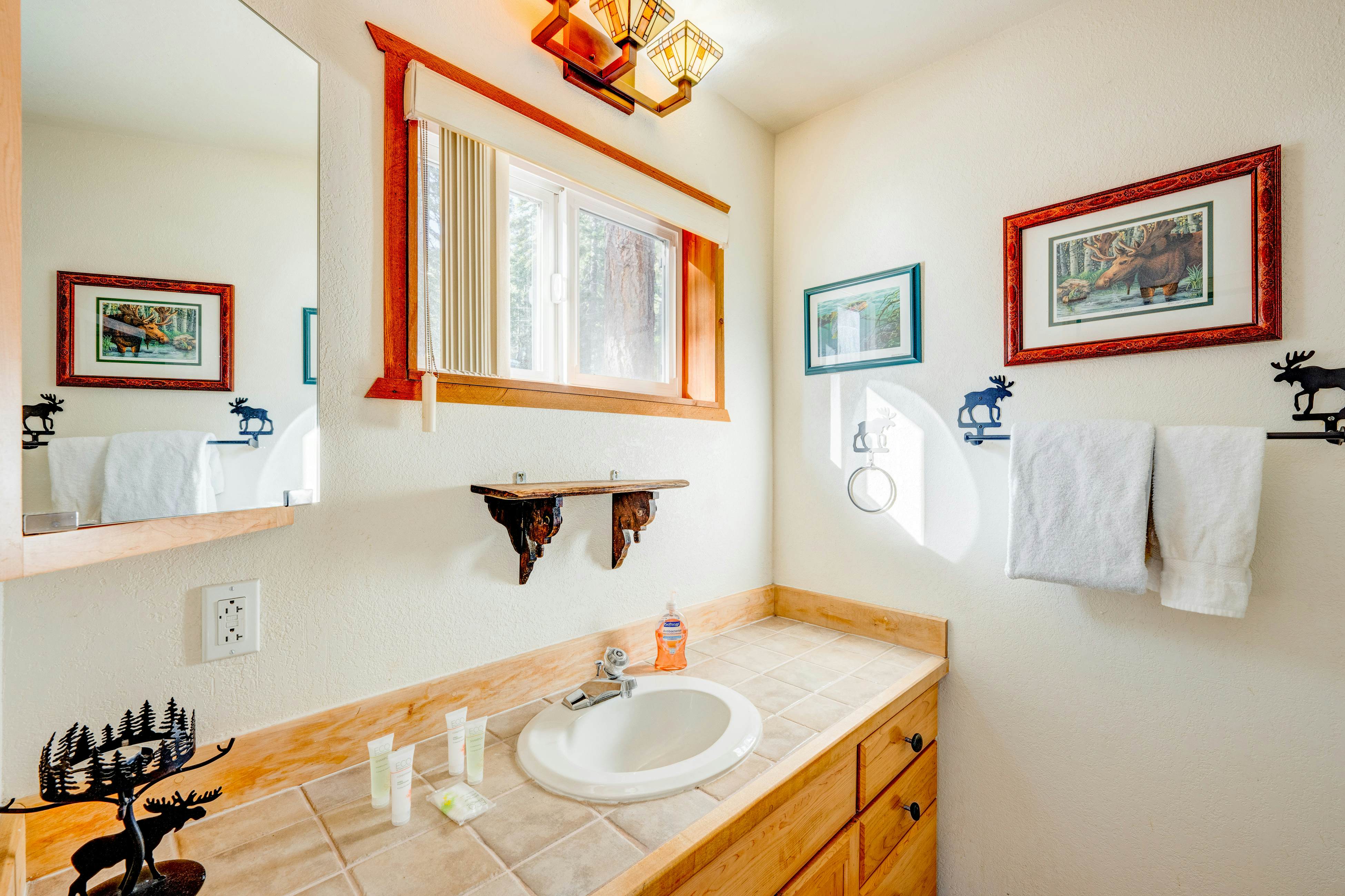 Peaceful Forest Retreat