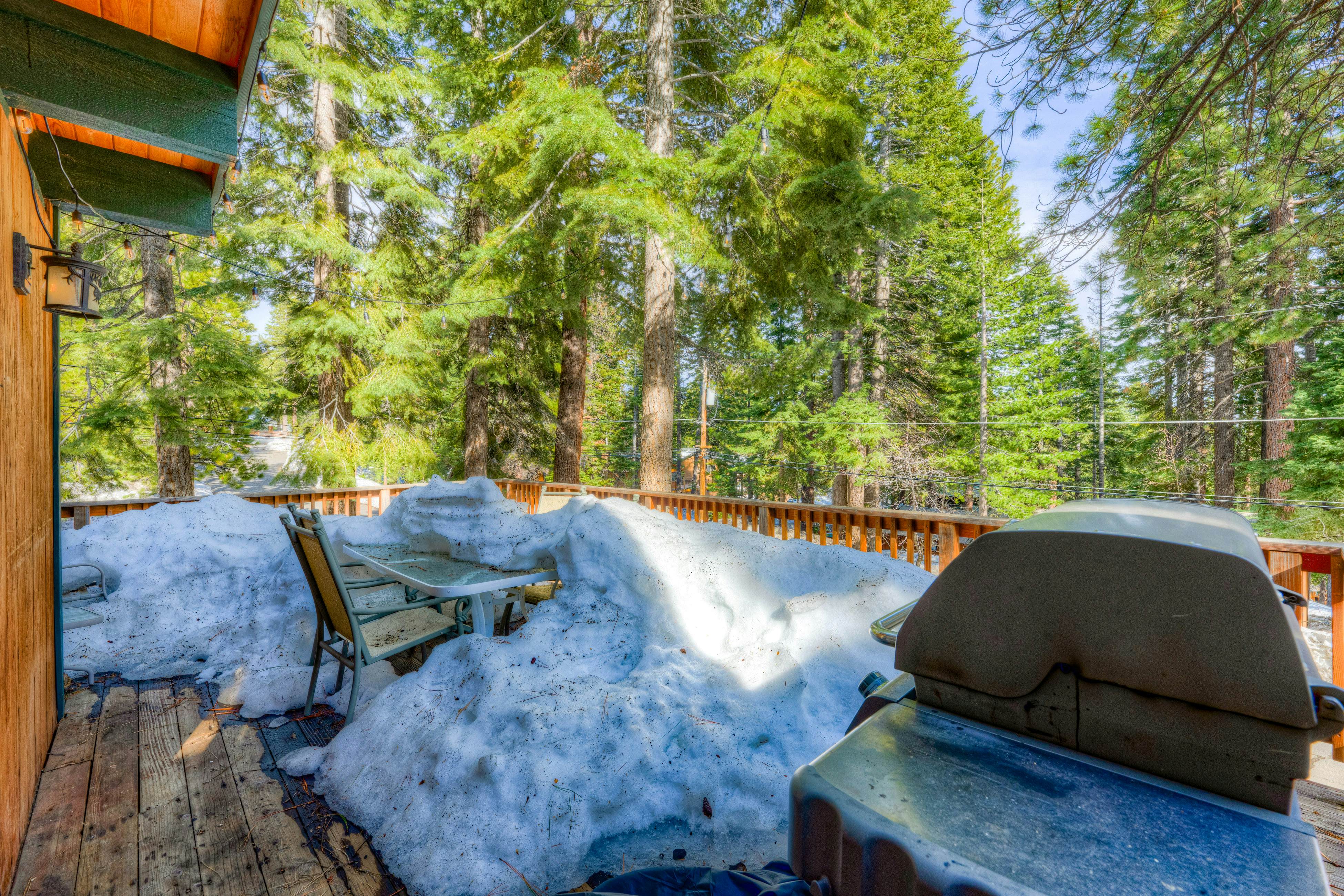 Peaceful Forest Retreat