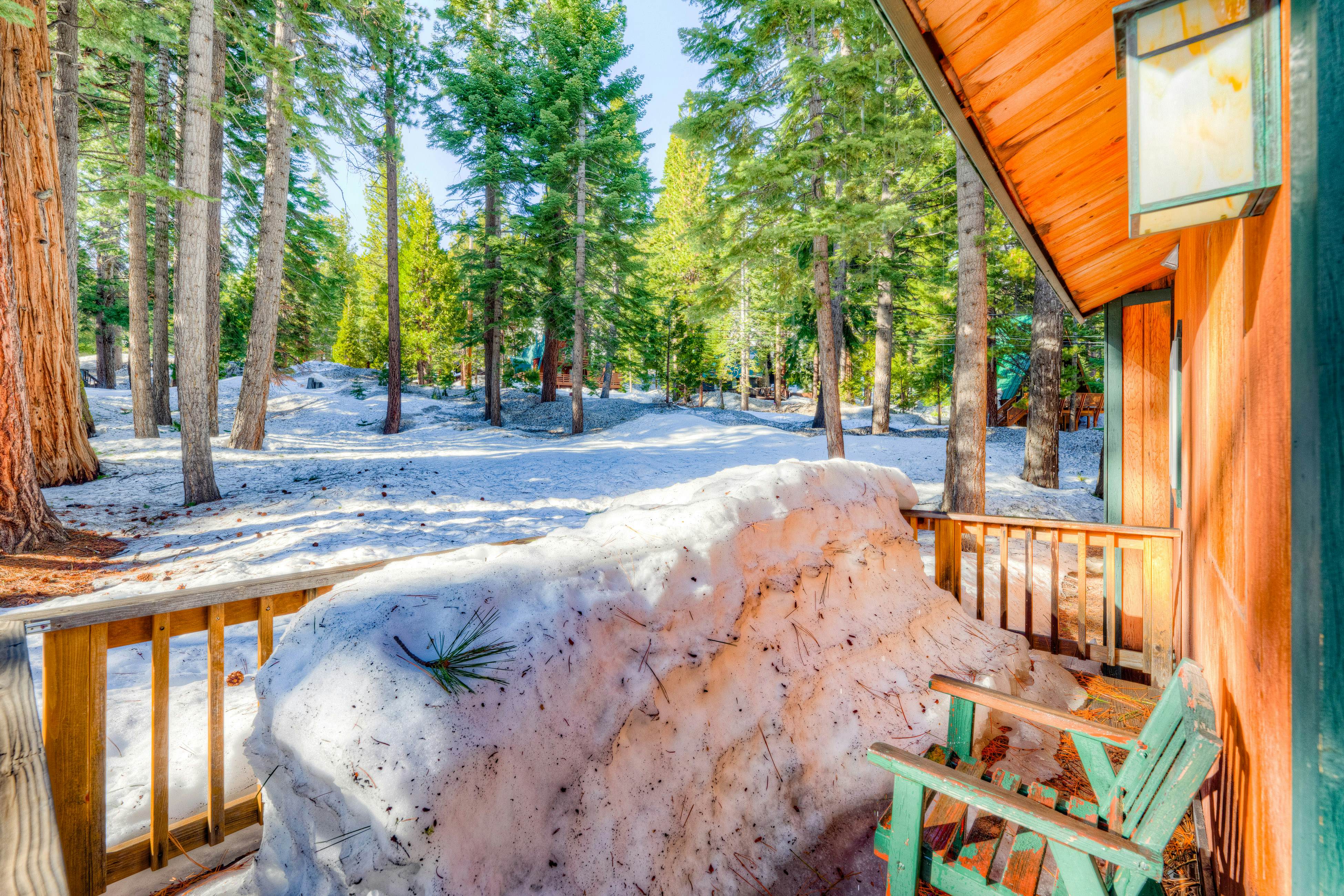 Peaceful Forest Retreat