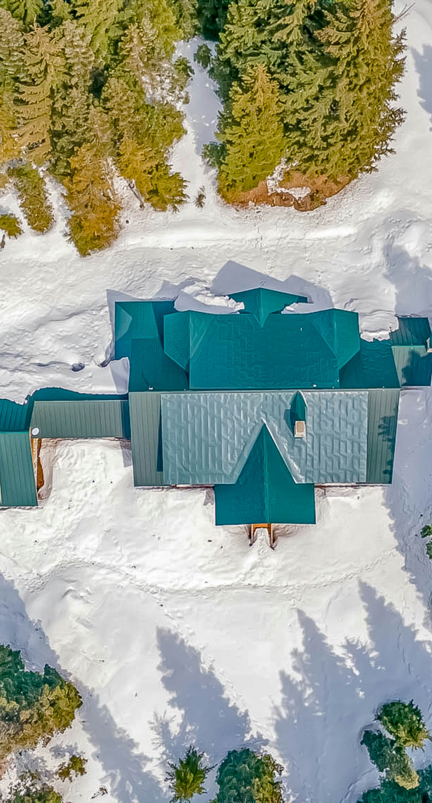 Seattle Mountain Home