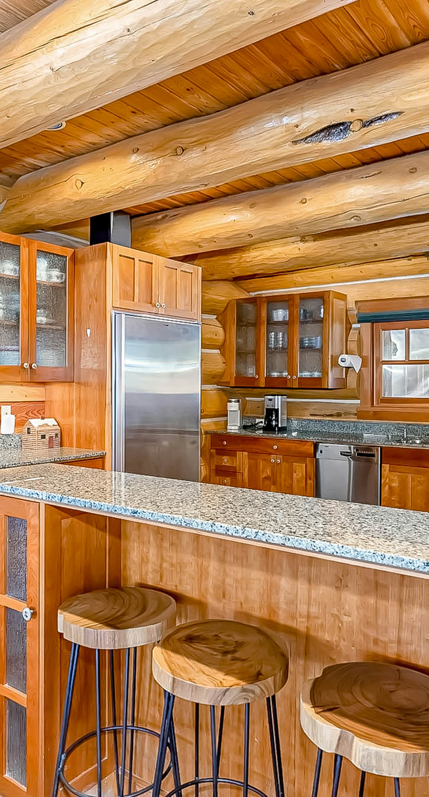 Seattle Mountain Home