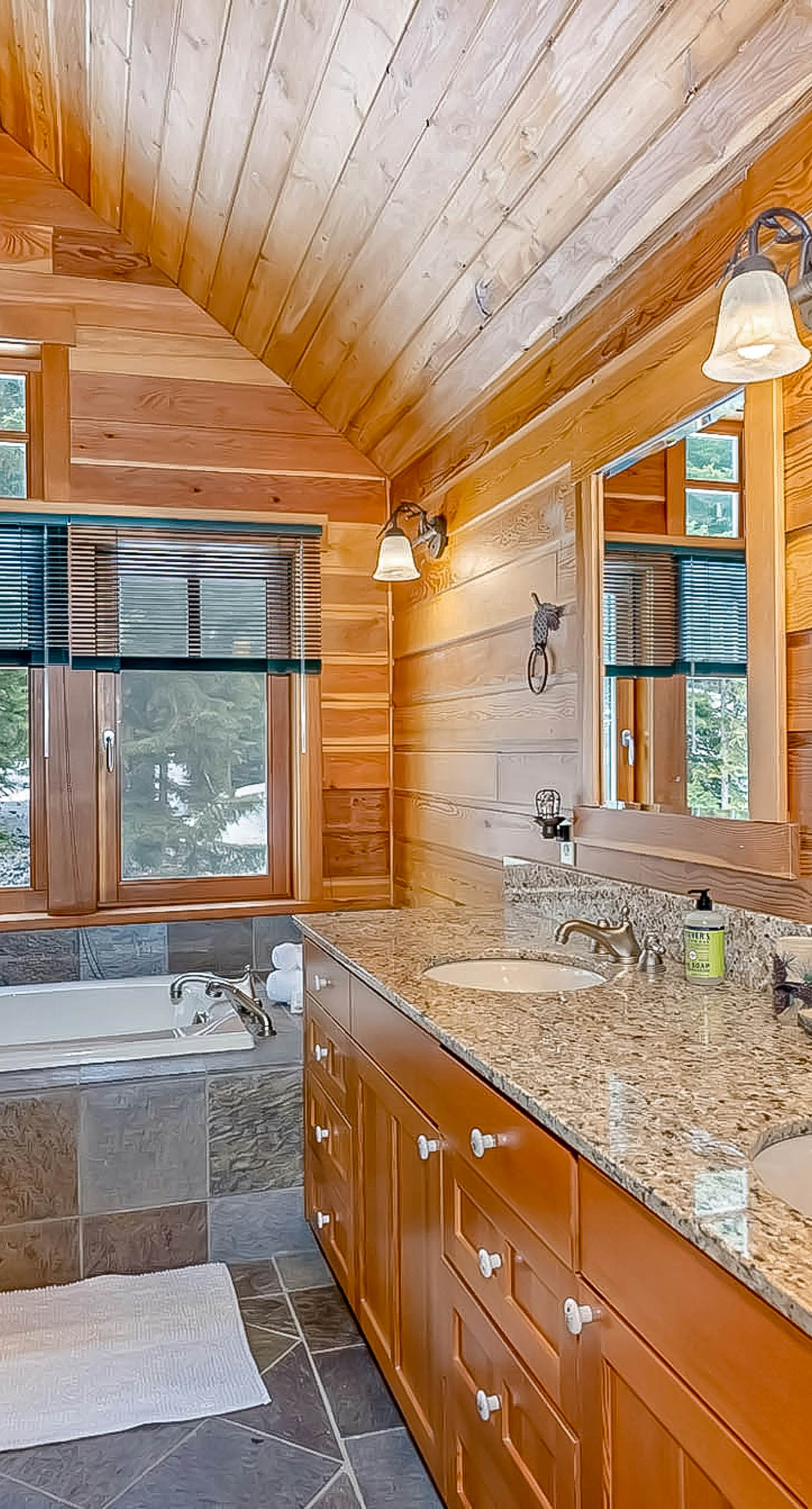 Seattle Mountain Home