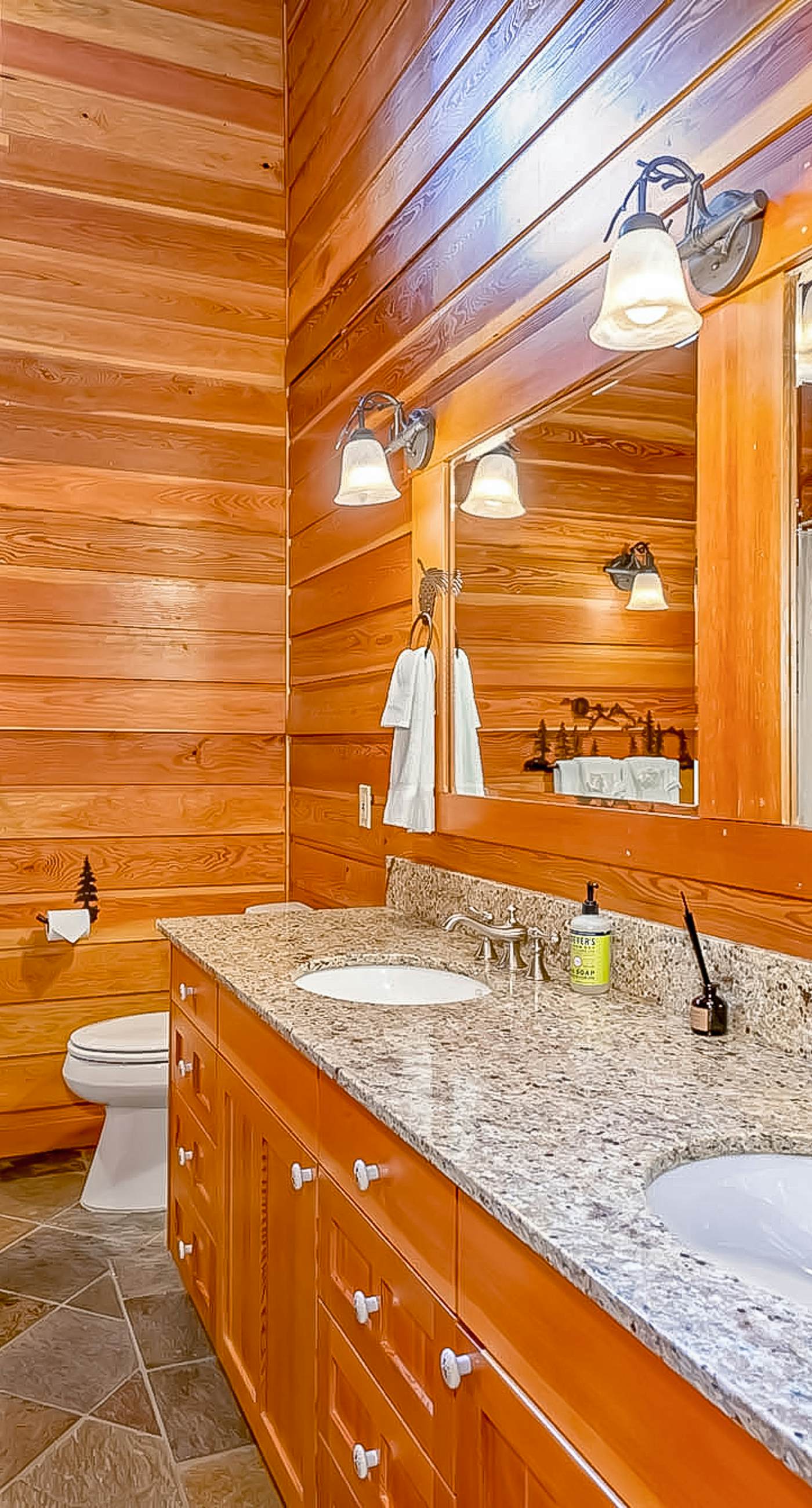 Seattle Mountain Home