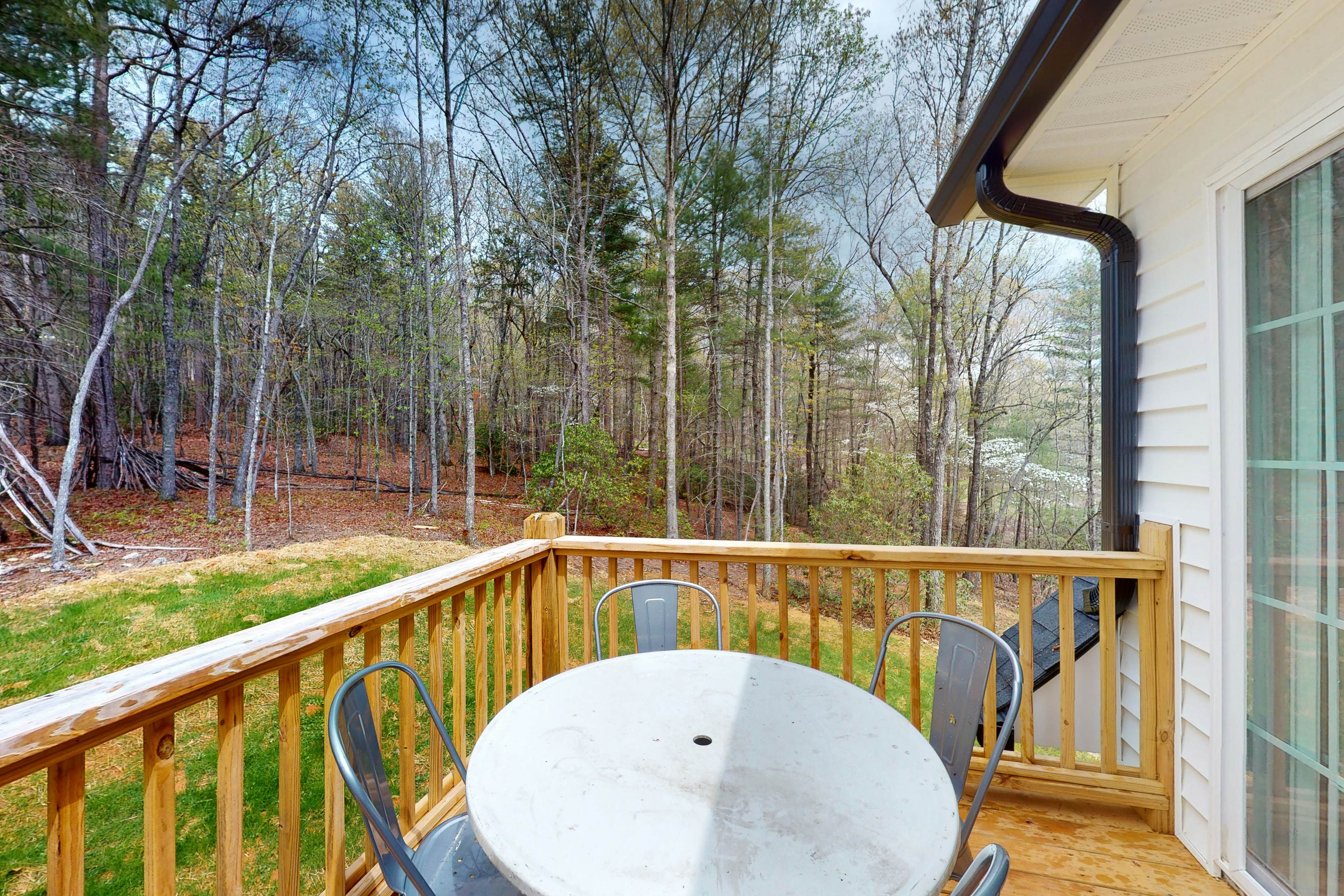 White Owl Cottage 1 BD Blairsville, GA Vacation Rental Vacasa
