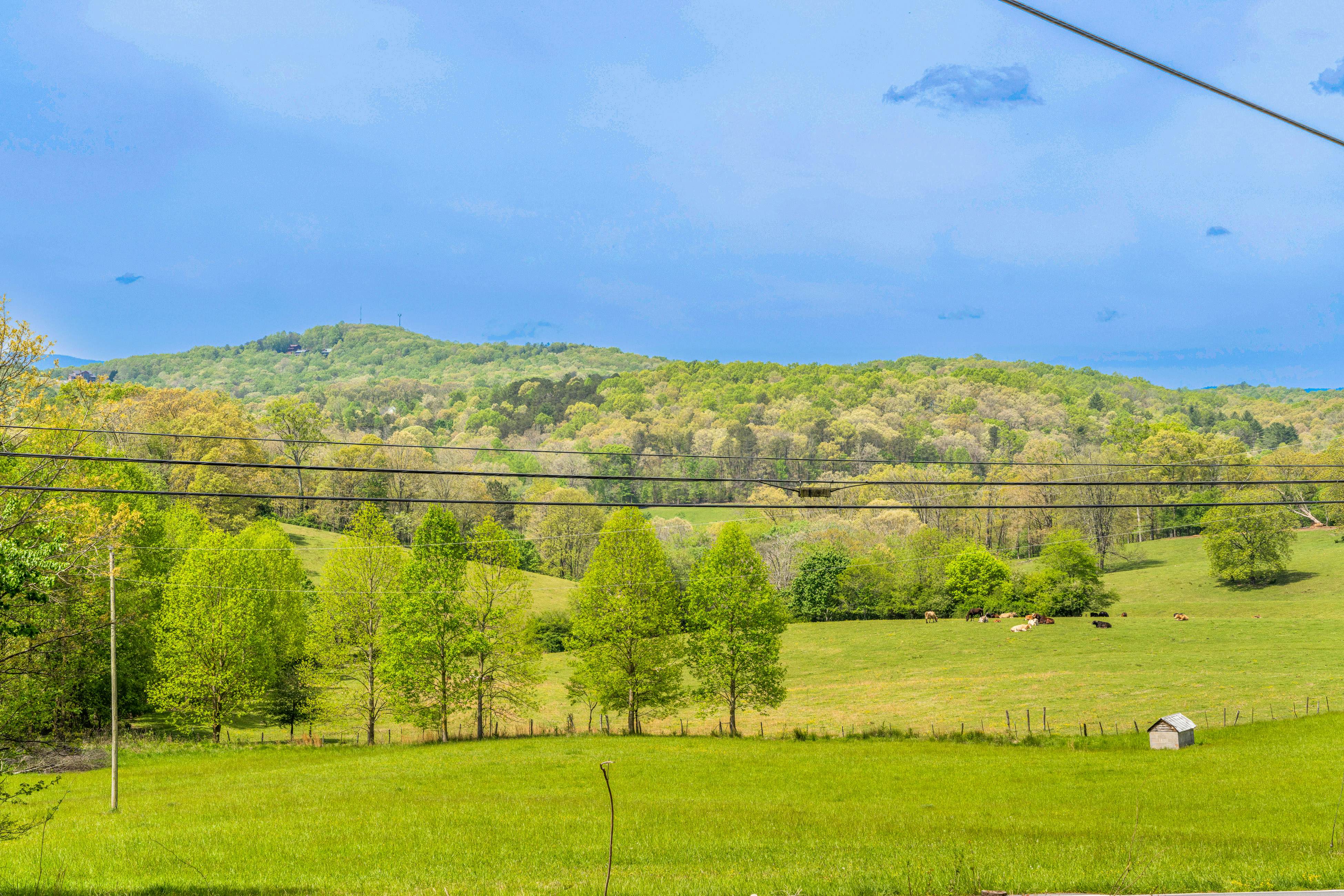 Modern Mountain Retreat 2 BD Blue Ridge, GA Vacation Rental Vacasa