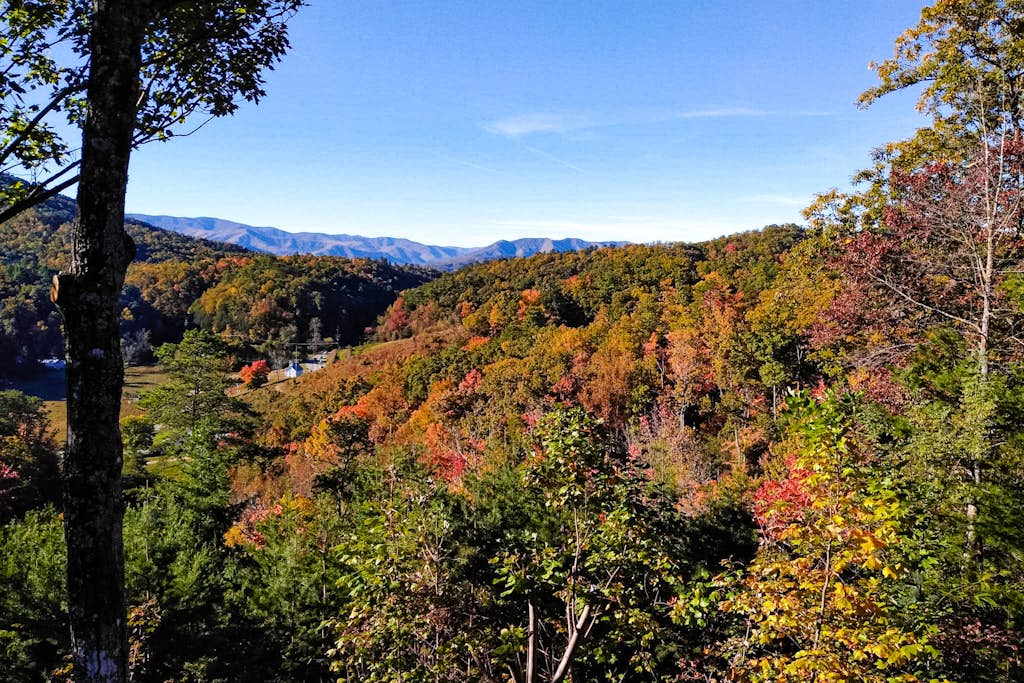 View 6