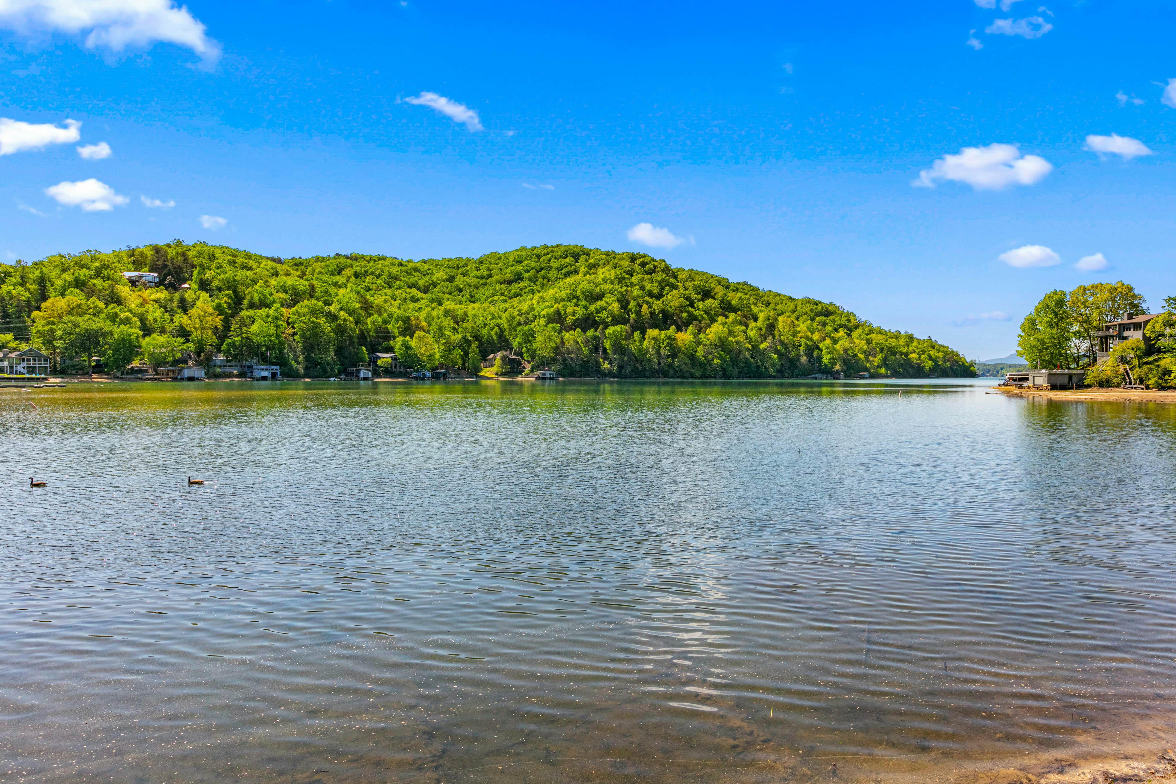 Apple Valley Treetop Villa 0 BD Lake Lure, NC Vacation Rental Vacasa
