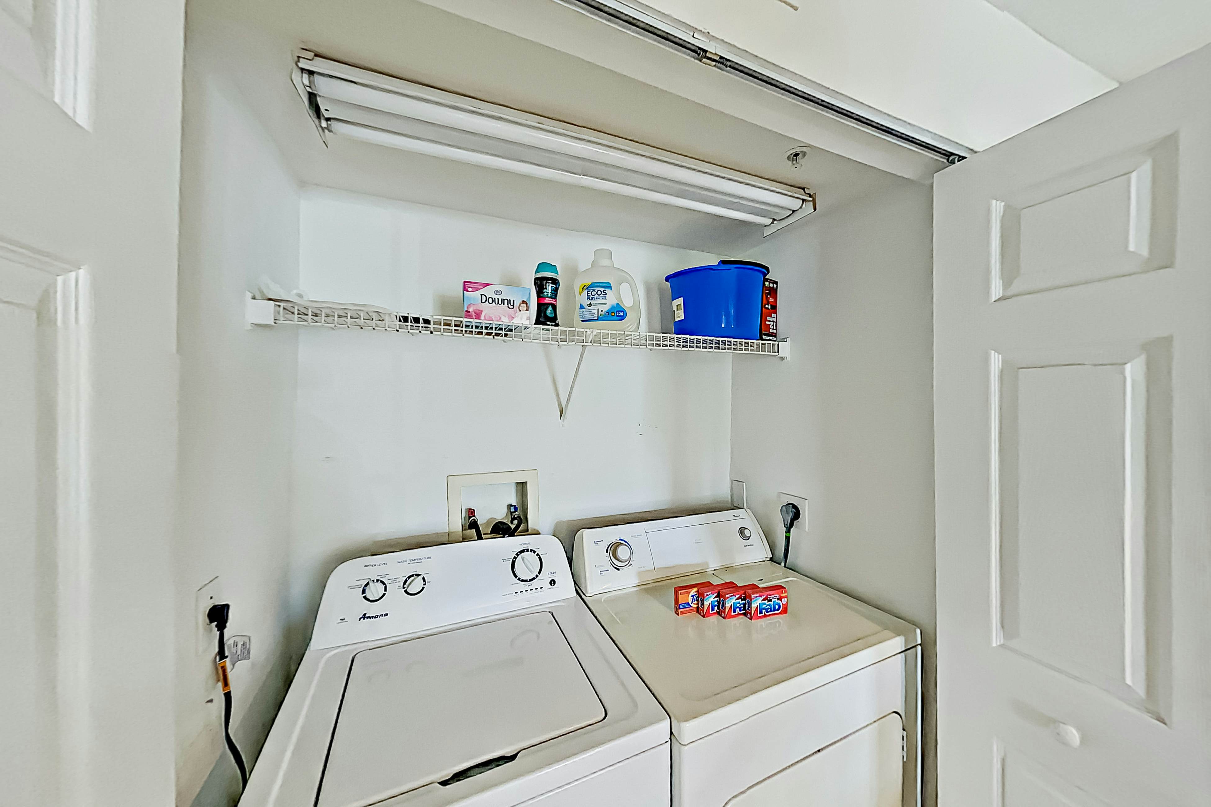 Four Mile Cove Enlightenment