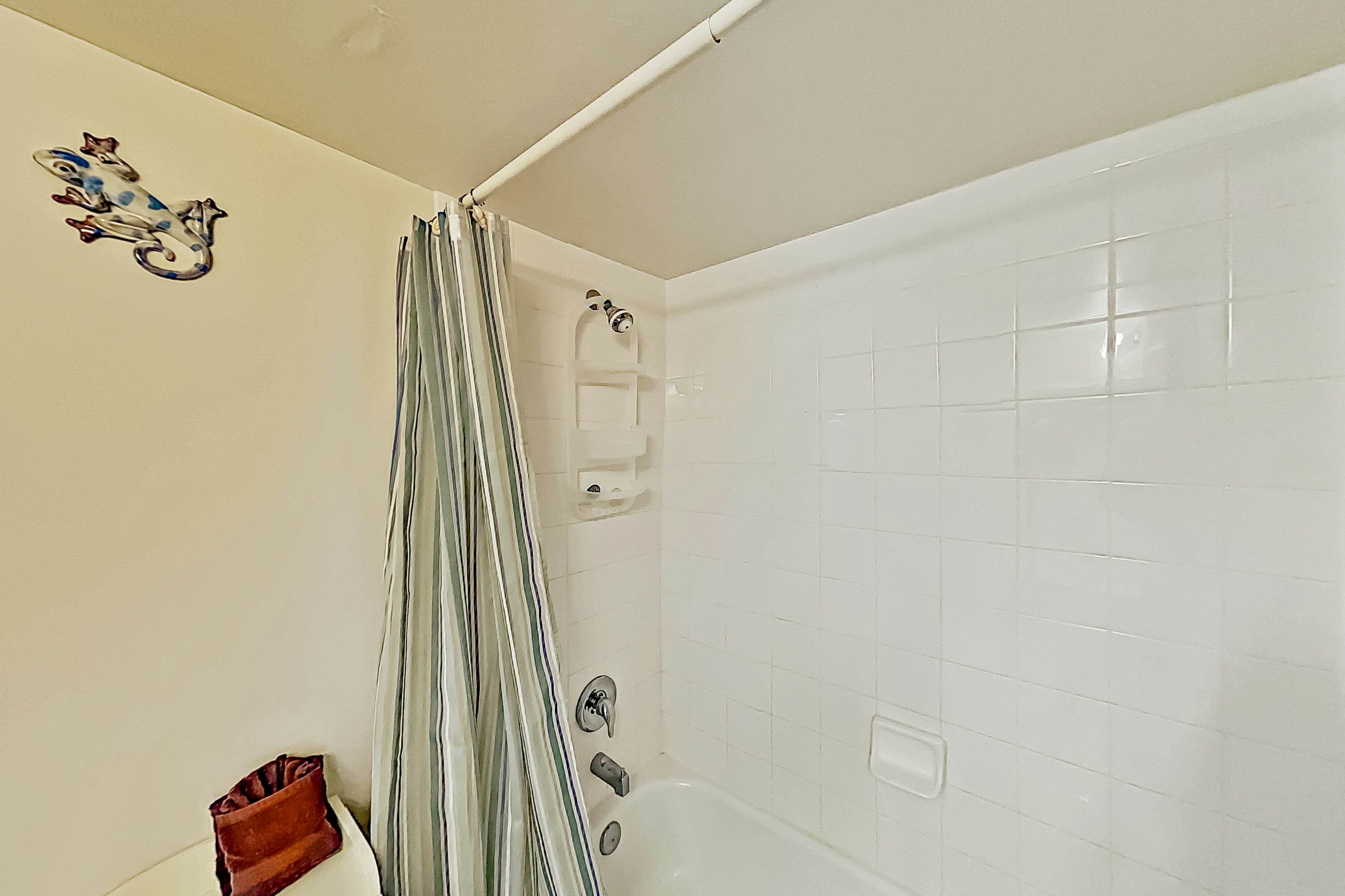 Four Mile Cove Enlightenment