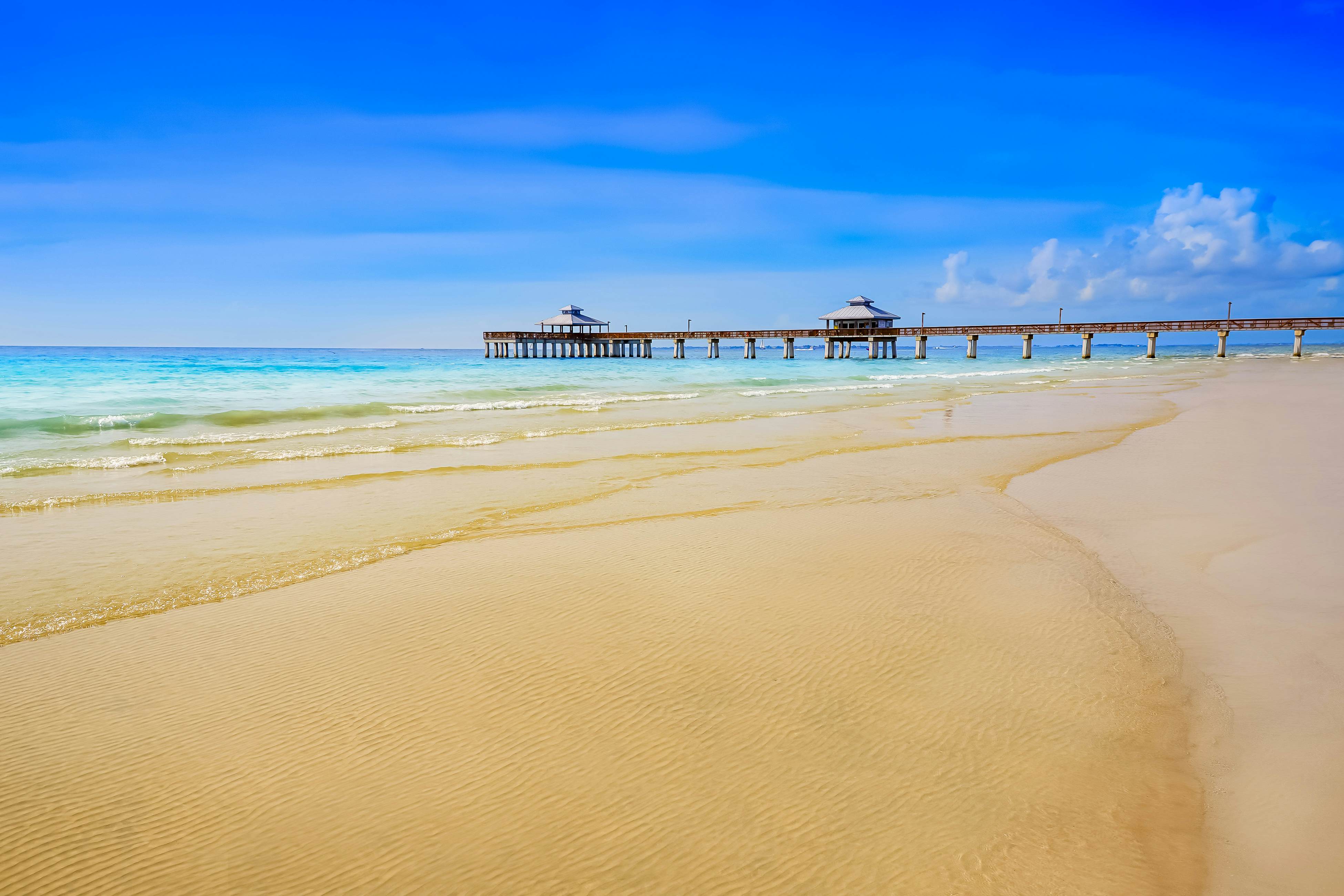 Four Mile Cove Enlightenment