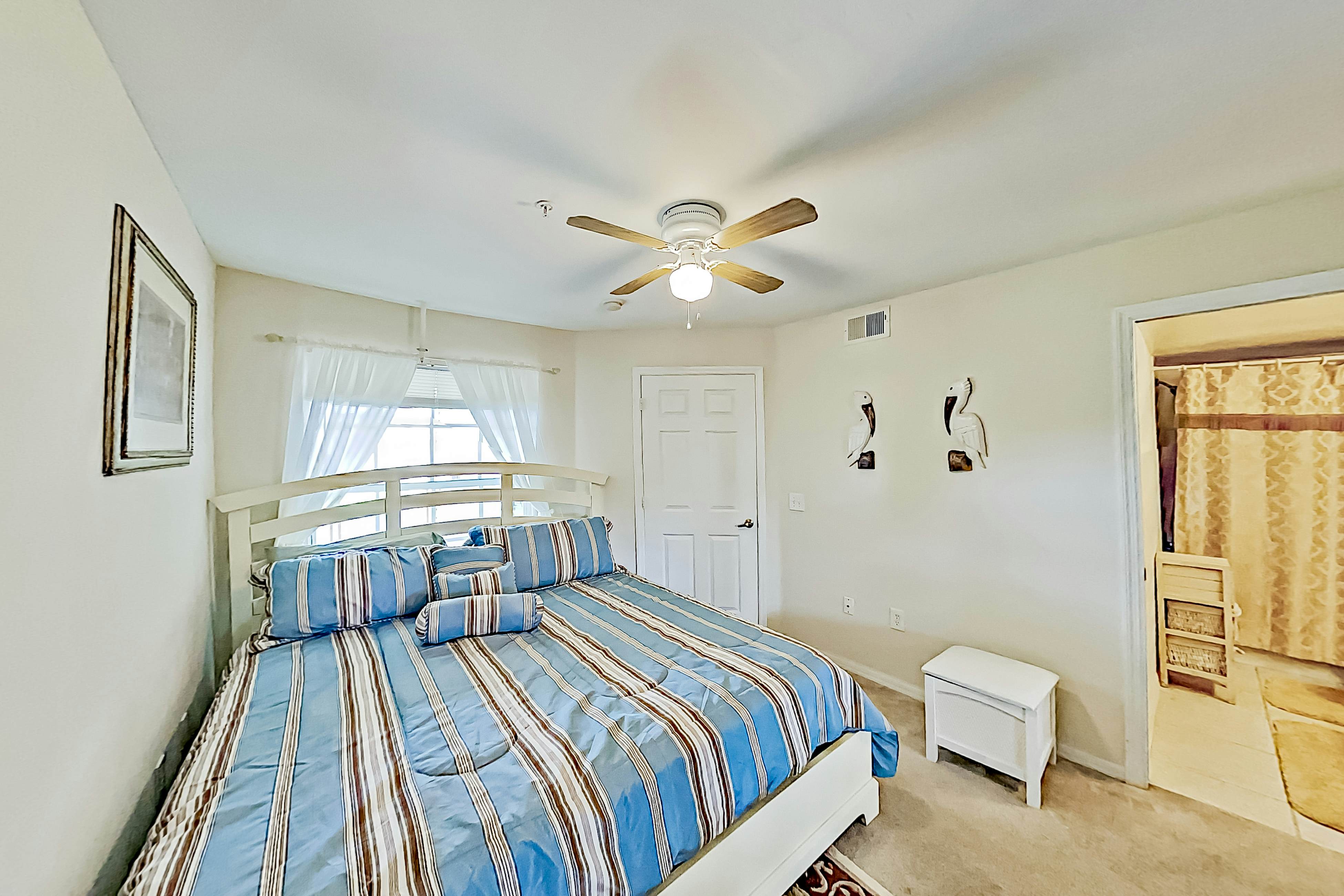 Four Mile Cove Enlightenment