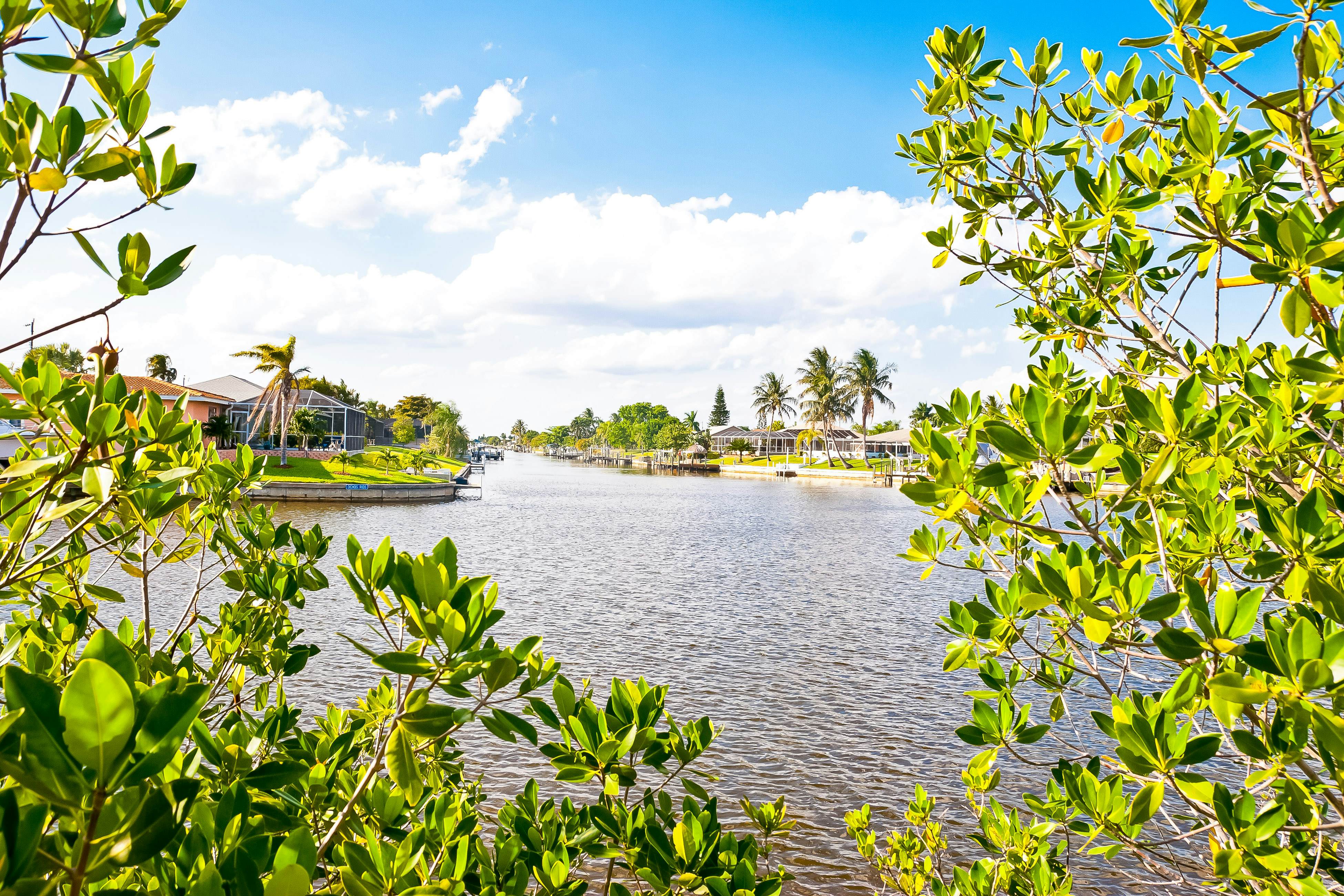 Four Mile Cove Enlightenment