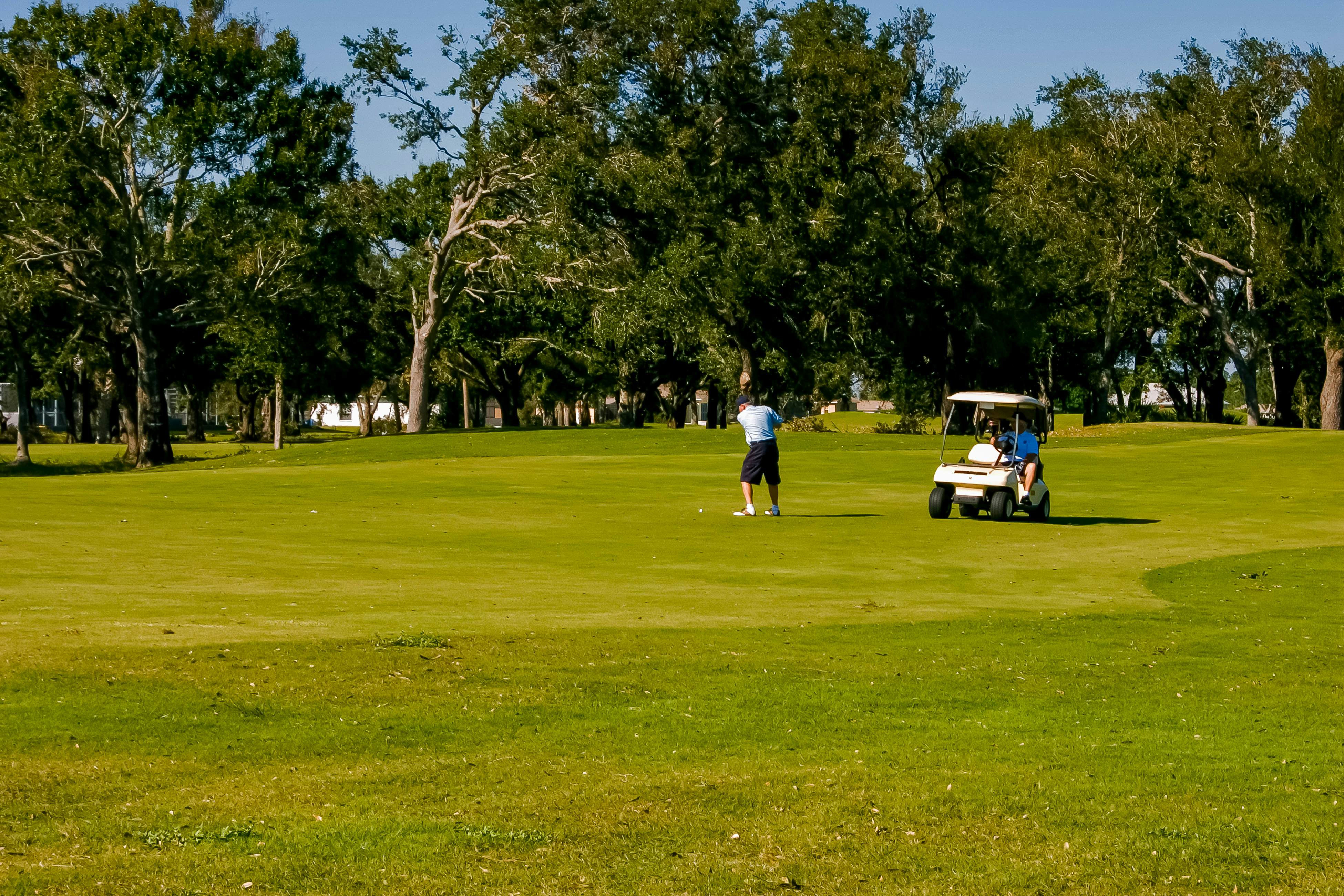 Four Mile Cove Enlightenment