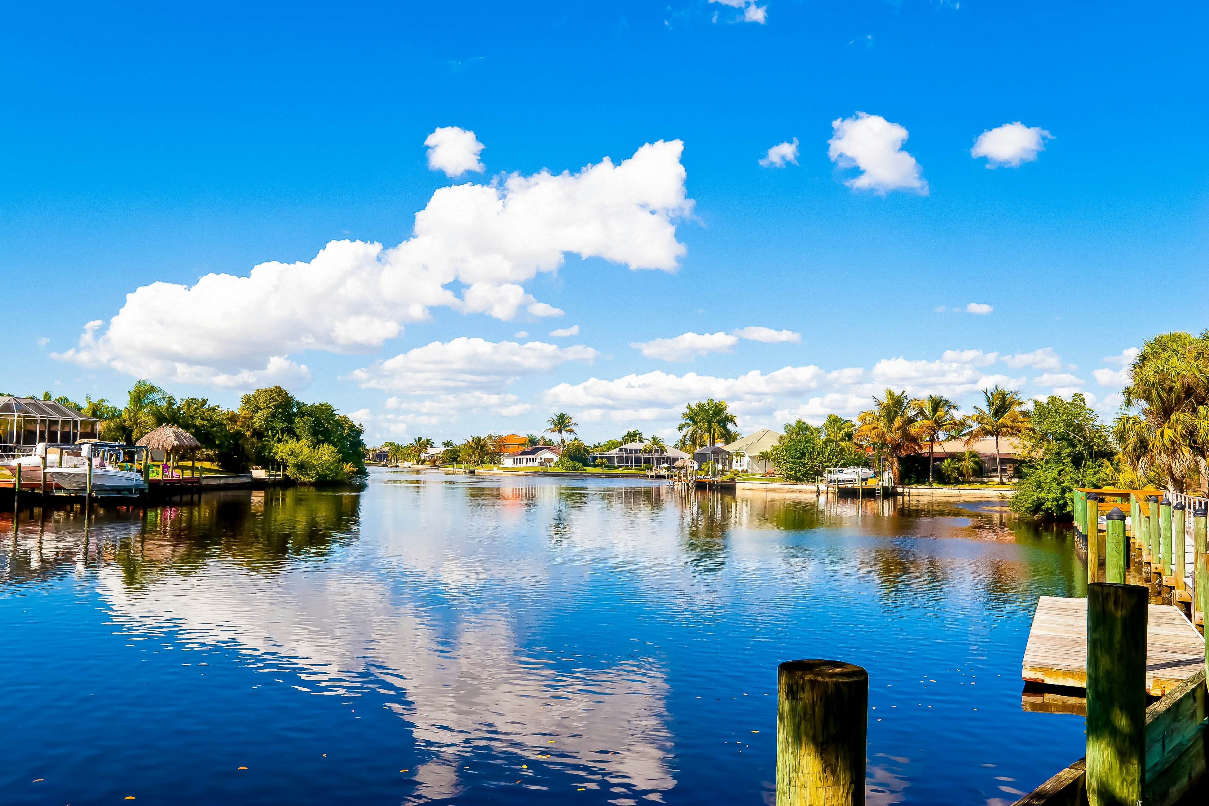 Four Mile Cove Enlightenment