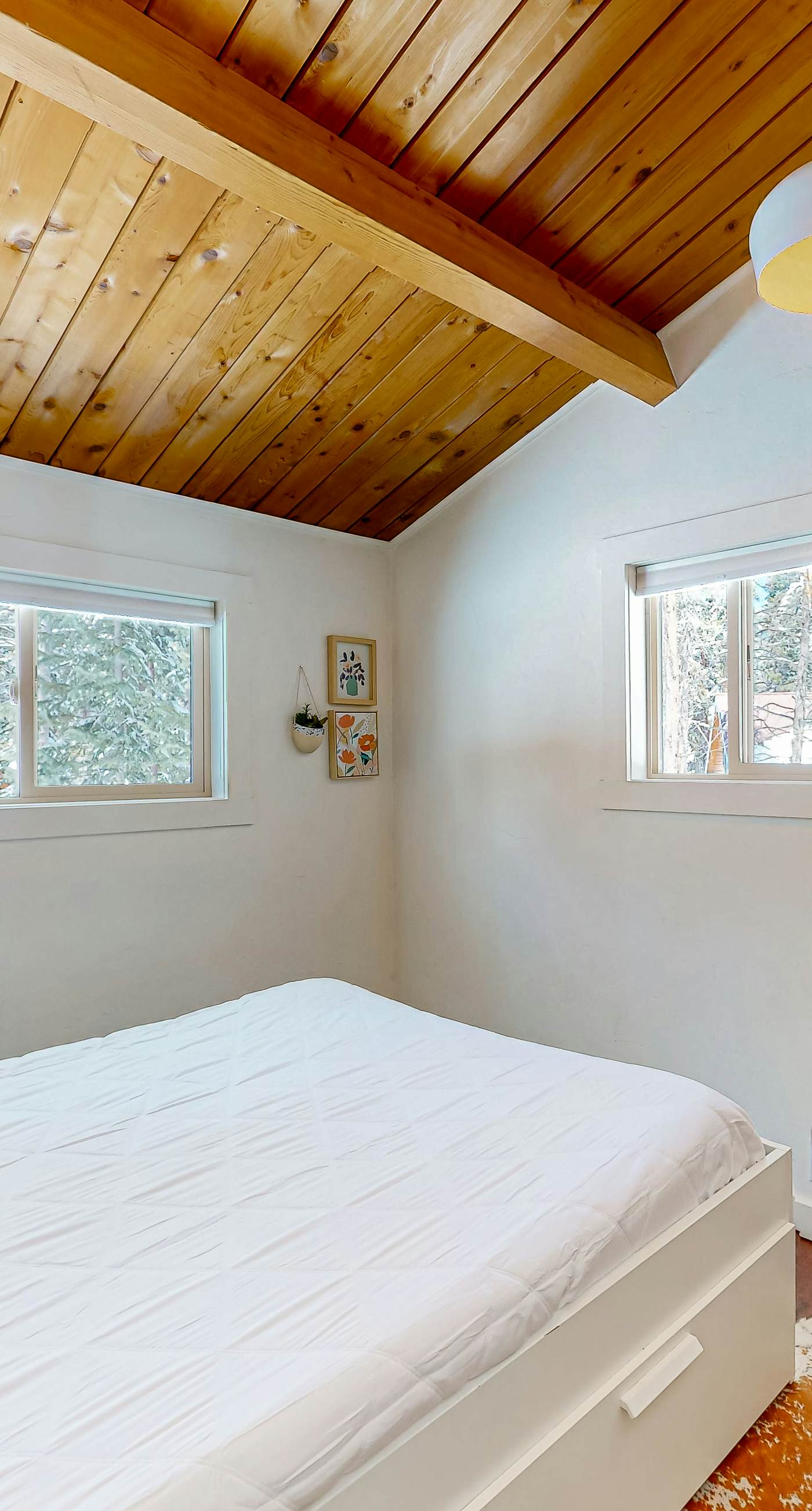 Fox Den-Mountain Luxe