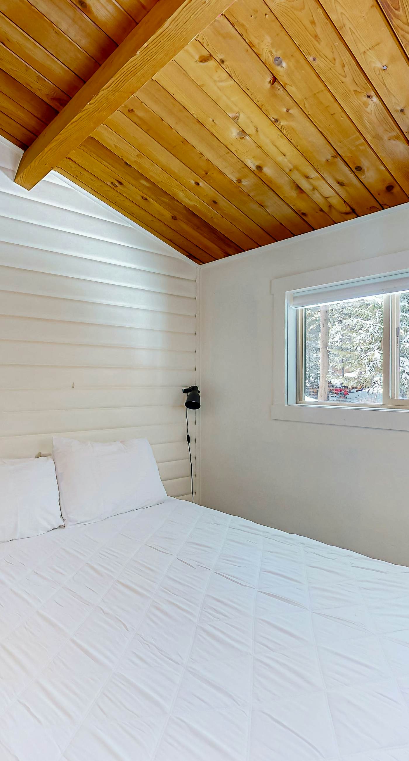 Fox Den-Mountain Luxe