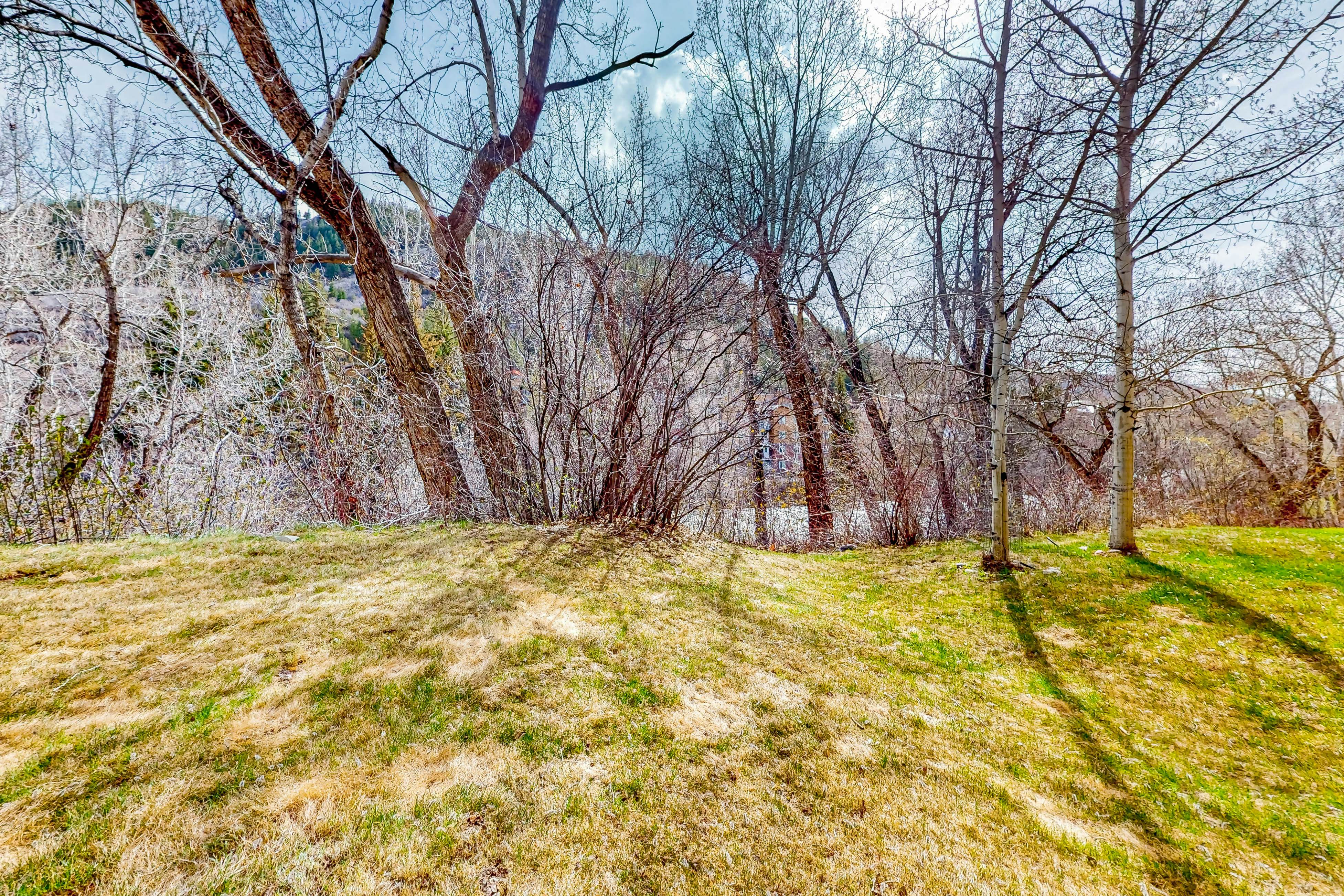 Evergreen Retreat, Unit 101