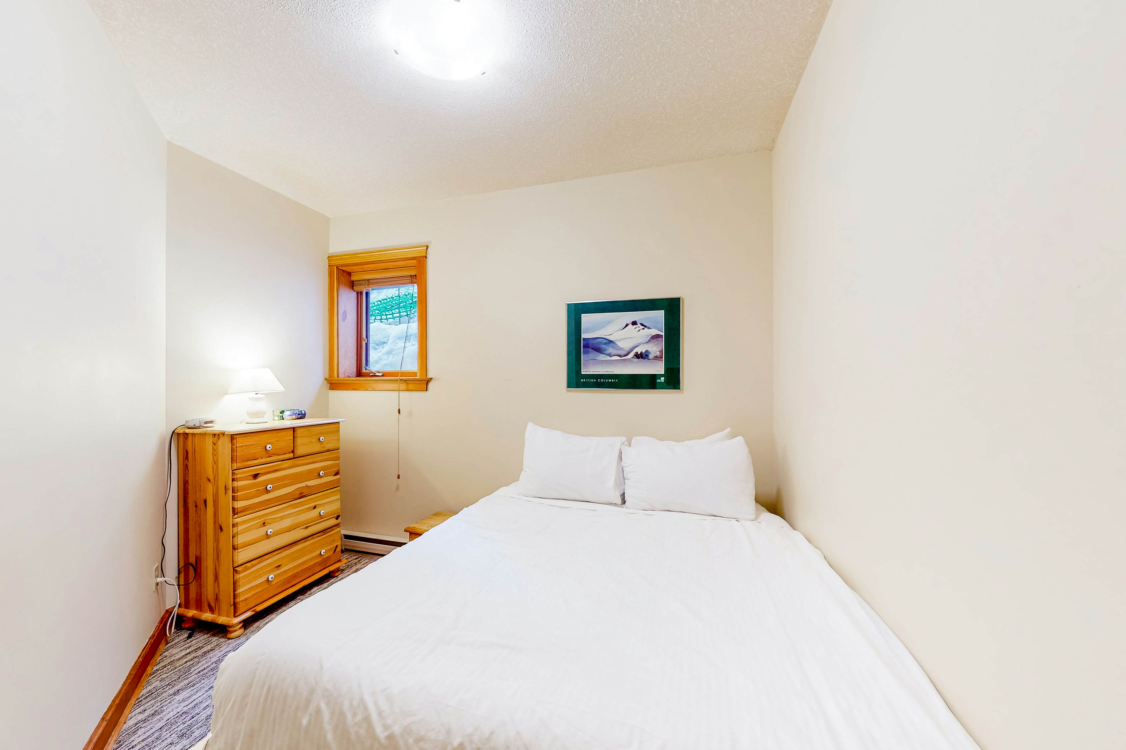 Snow Leopard's Retreat