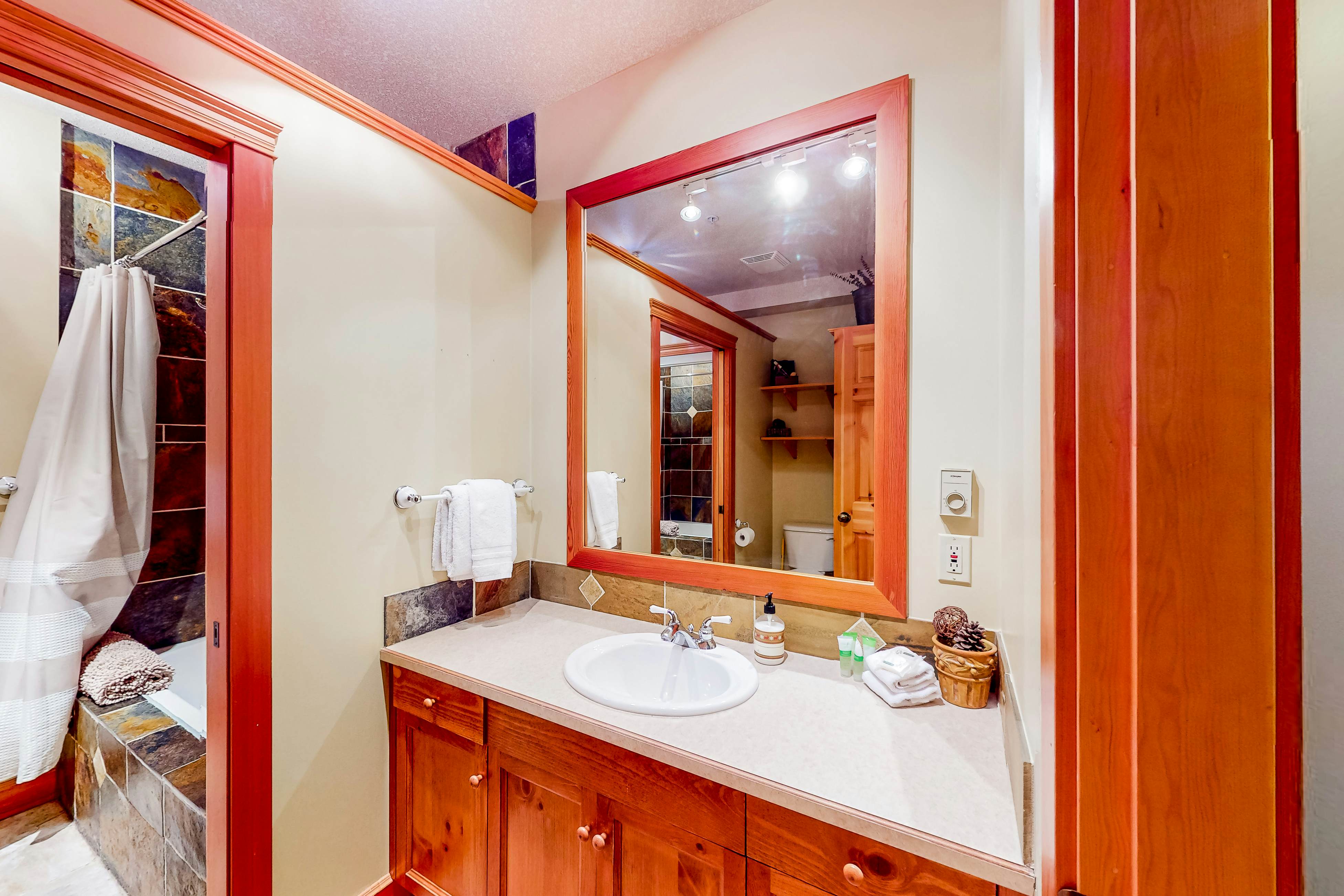 Snow Leopard's Retreat