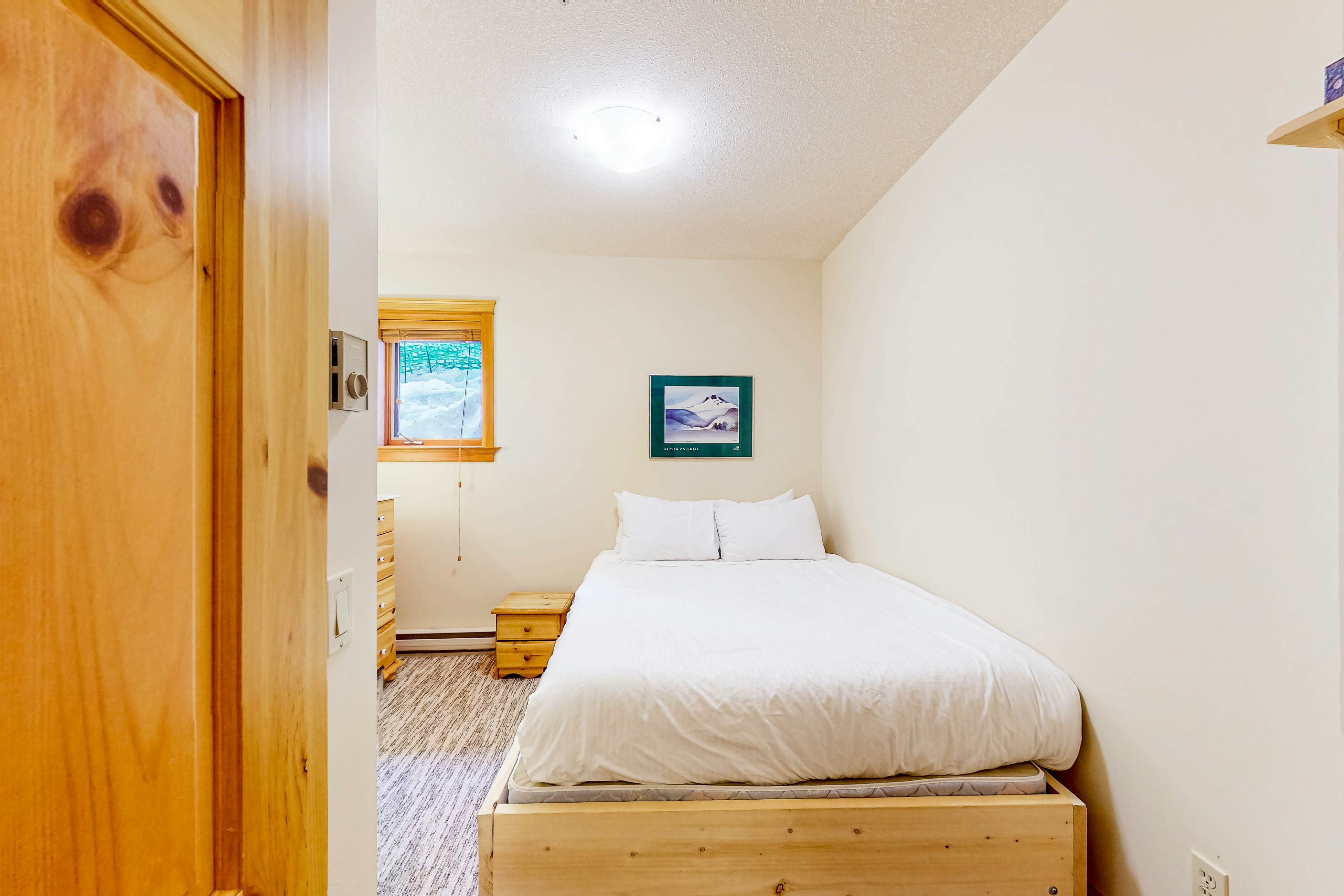 Snow Leopard's Retreat