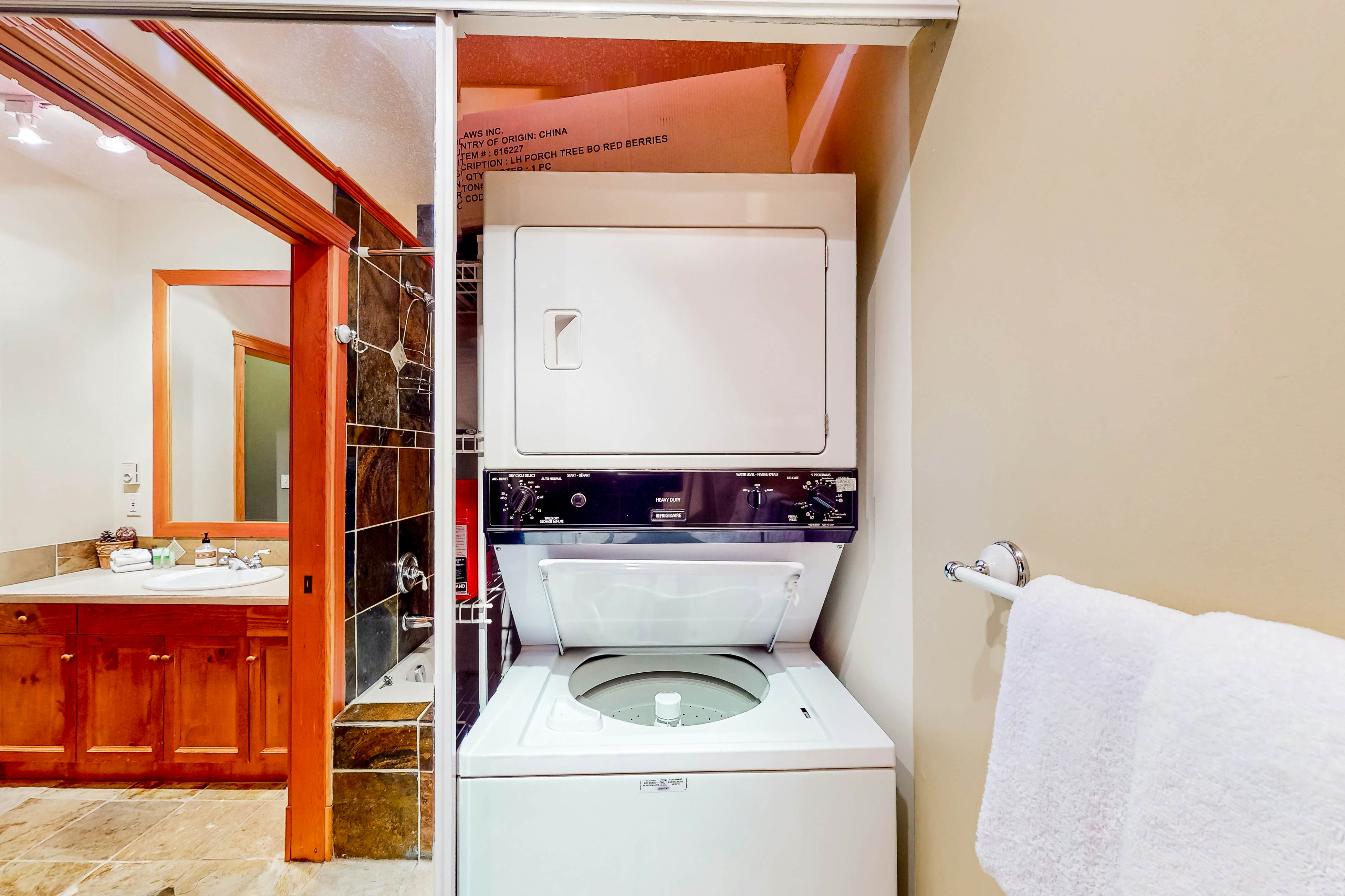 Snow Leopard's Retreat