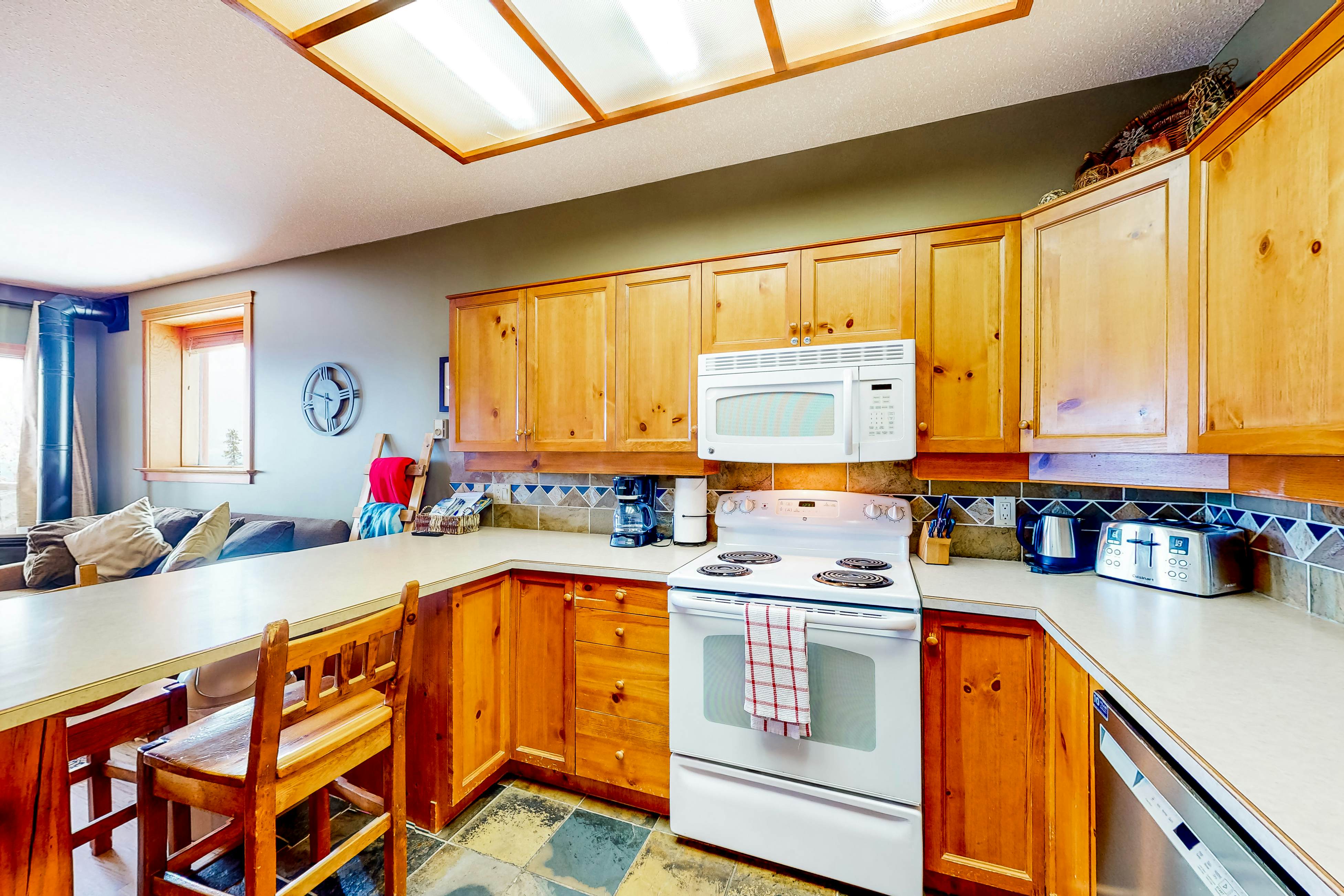 Snow Leopard's Retreat