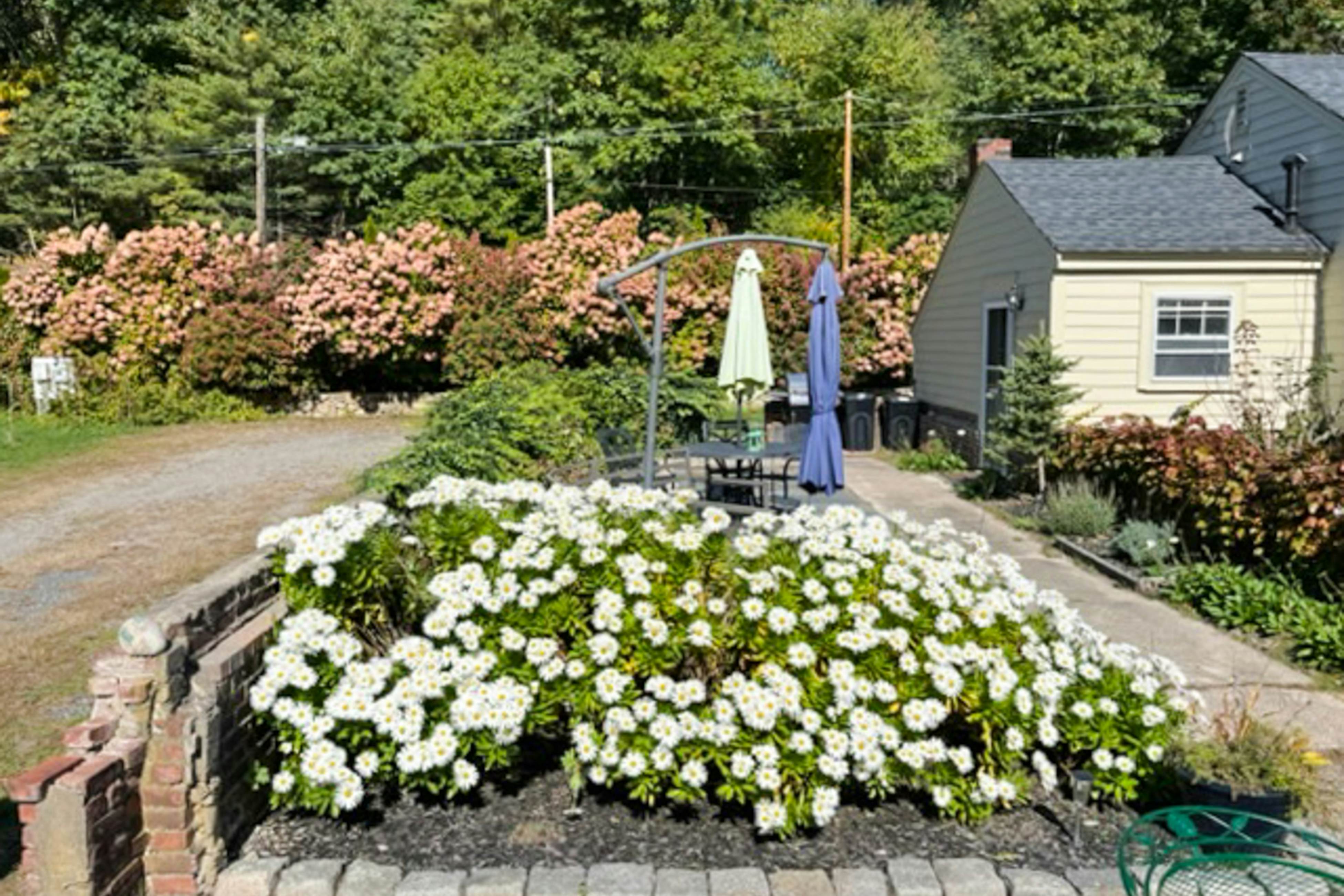 Garden Cottage By The Sea
