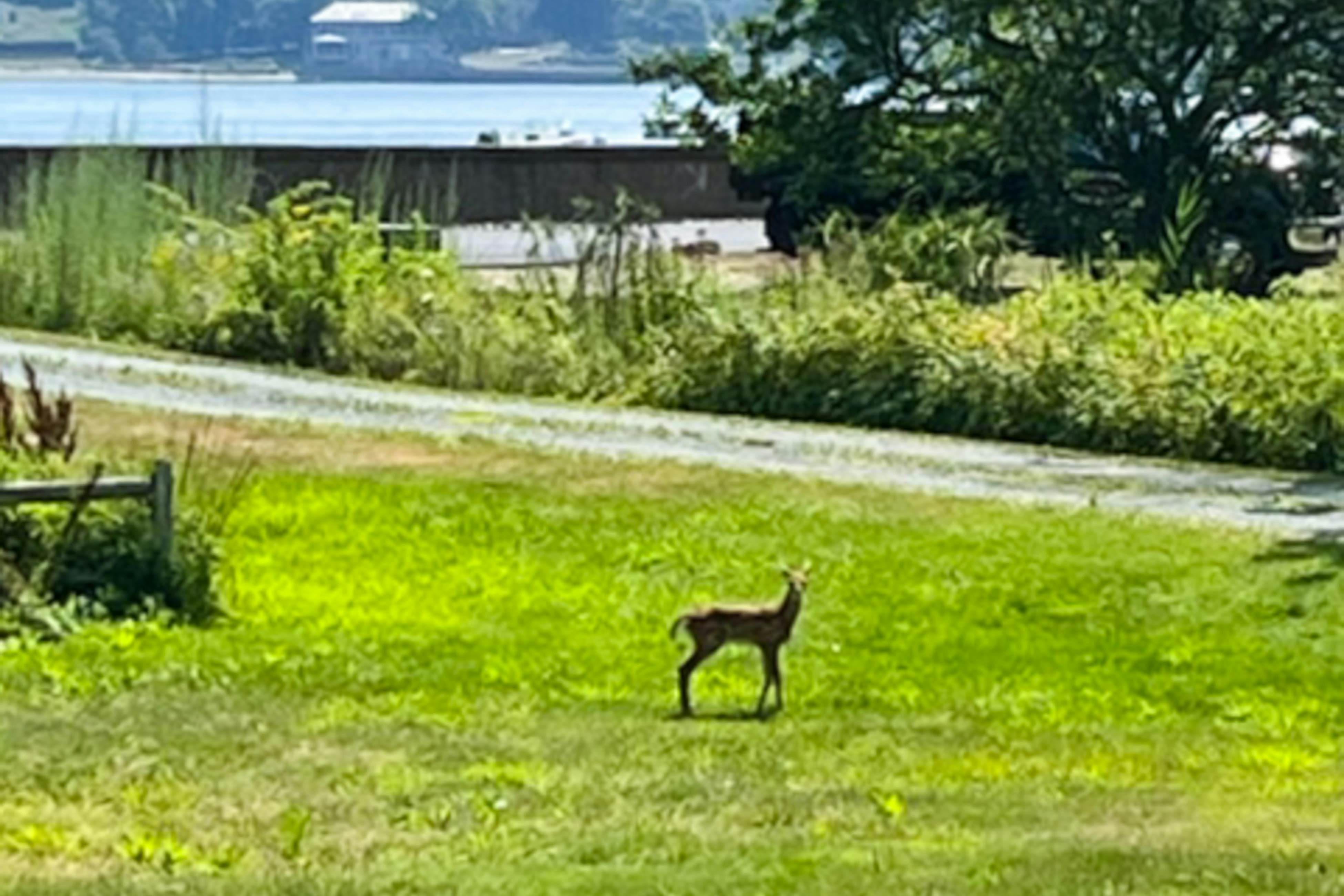 Garden Cottage By The Sea