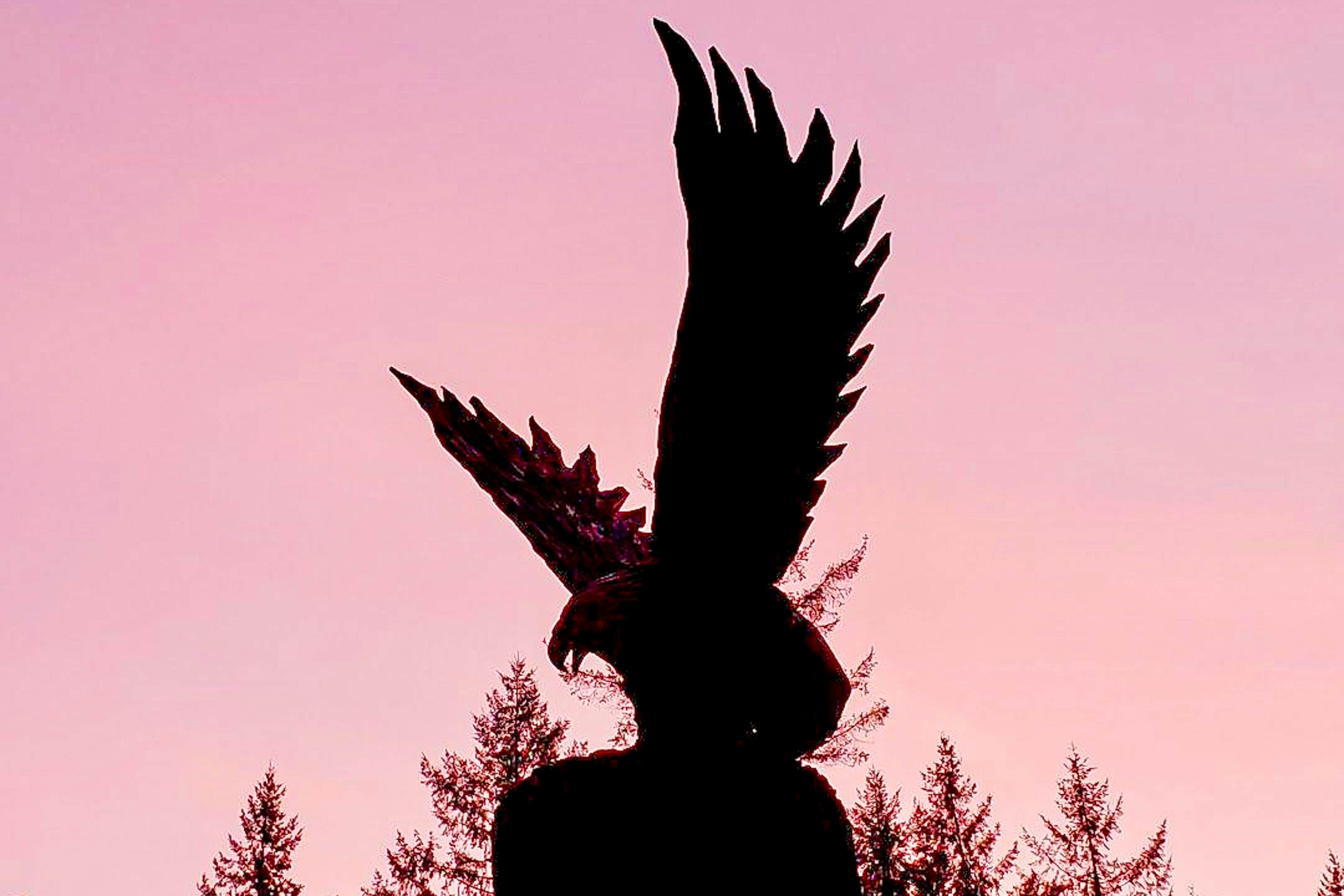 Tahuya River Lodge #1