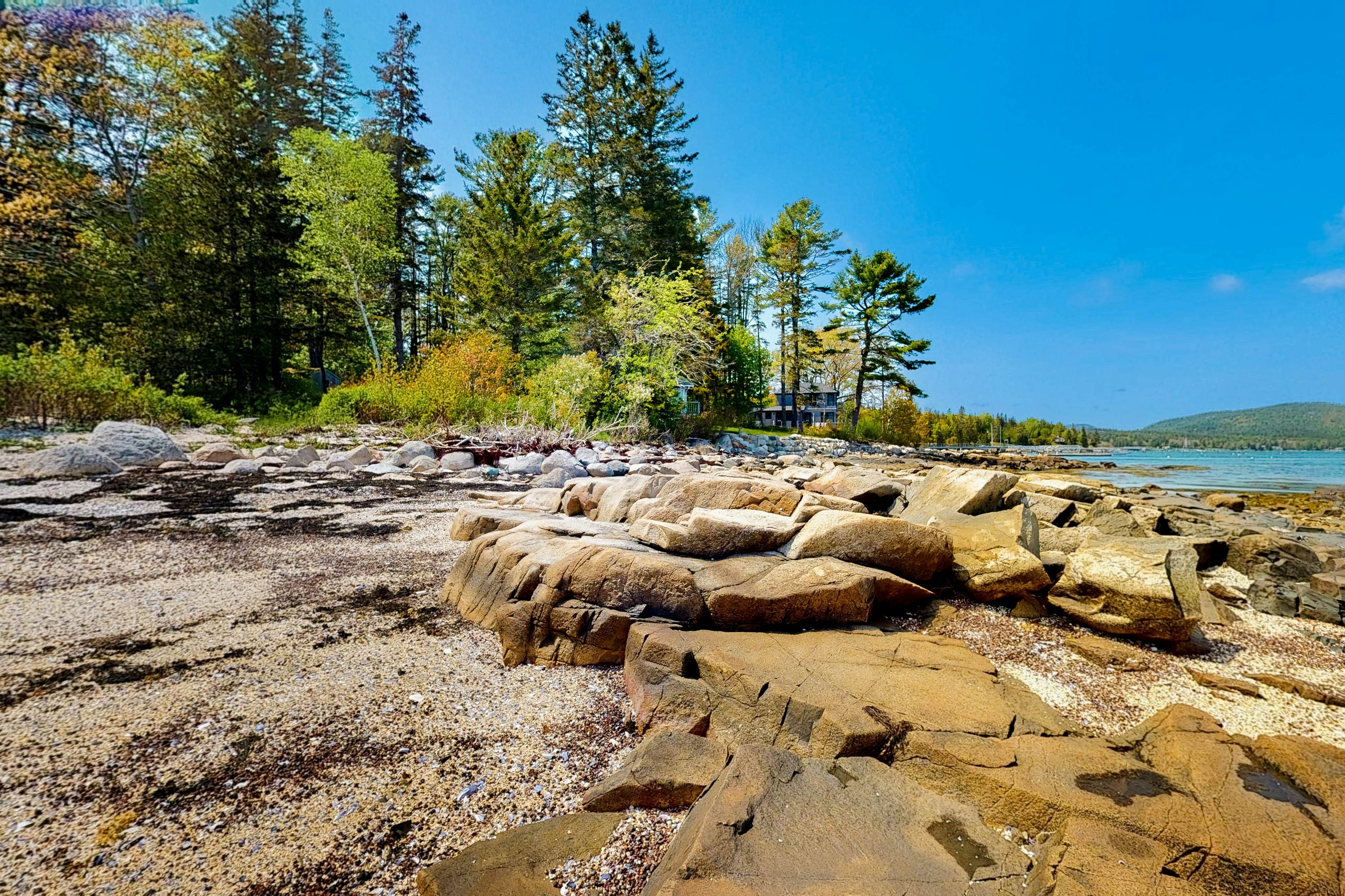The Birdhouse of Maine