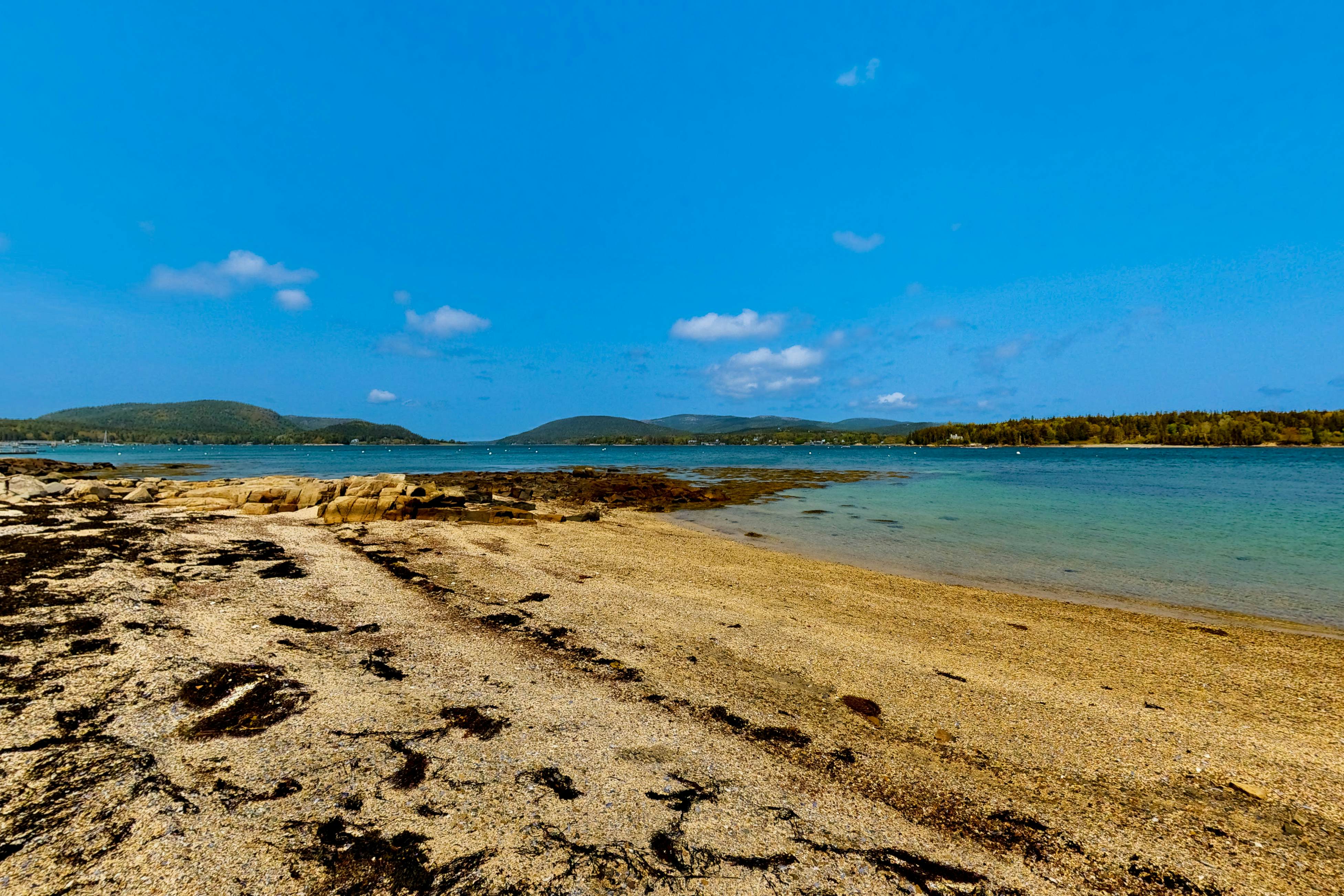 The Birdhouse of Maine