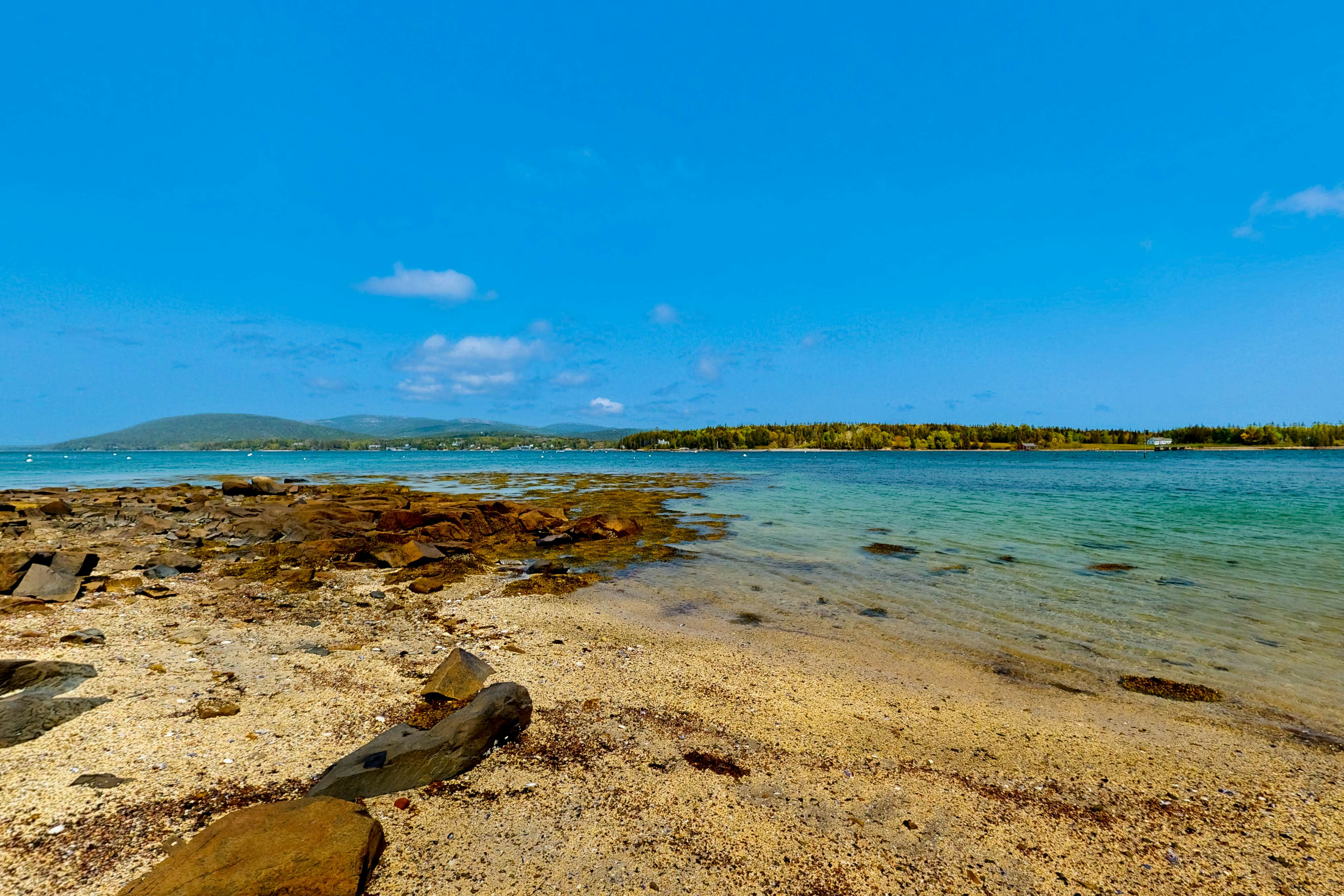 The Birdhouse of Maine