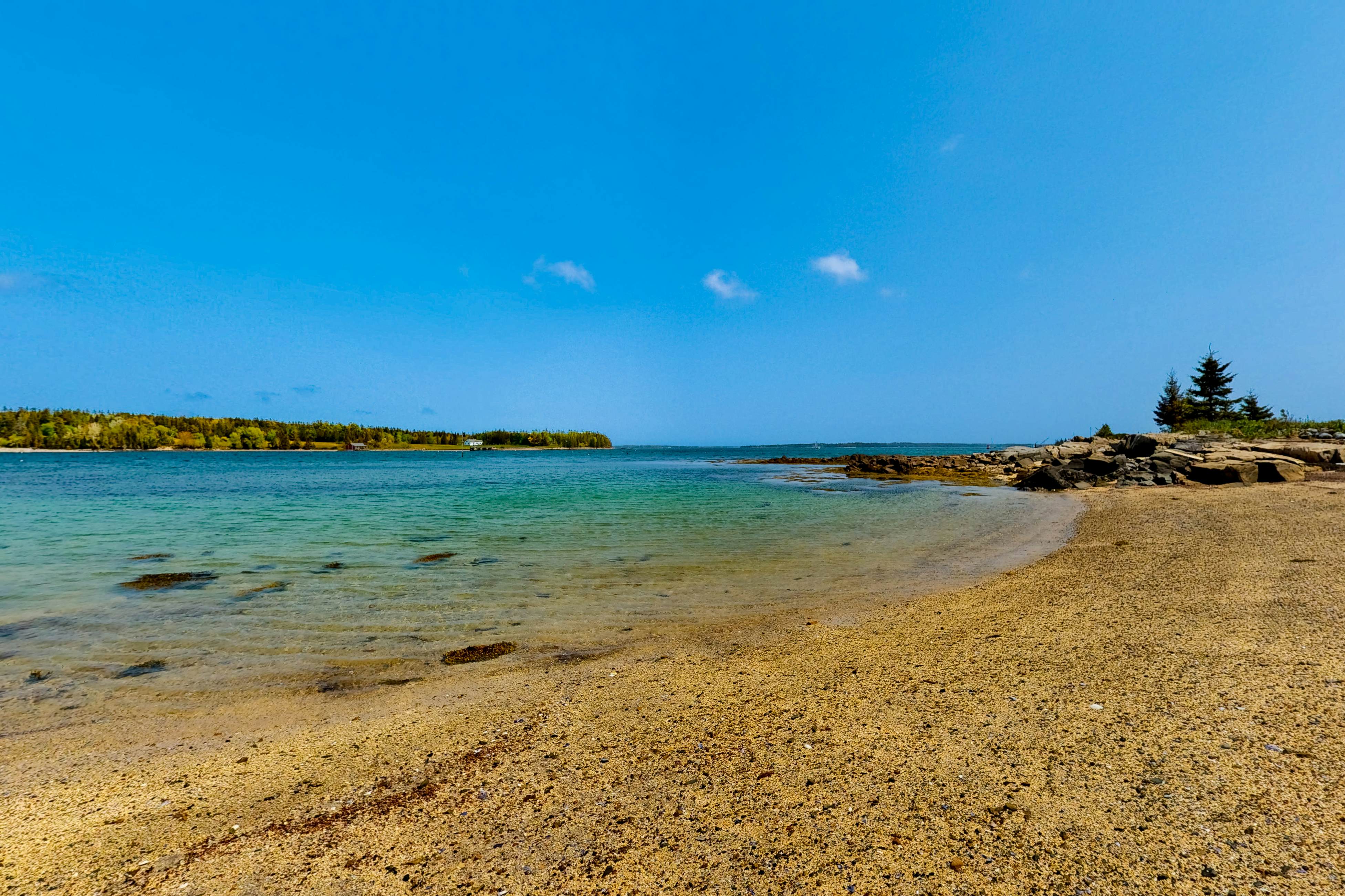 The Birdhouse of Maine