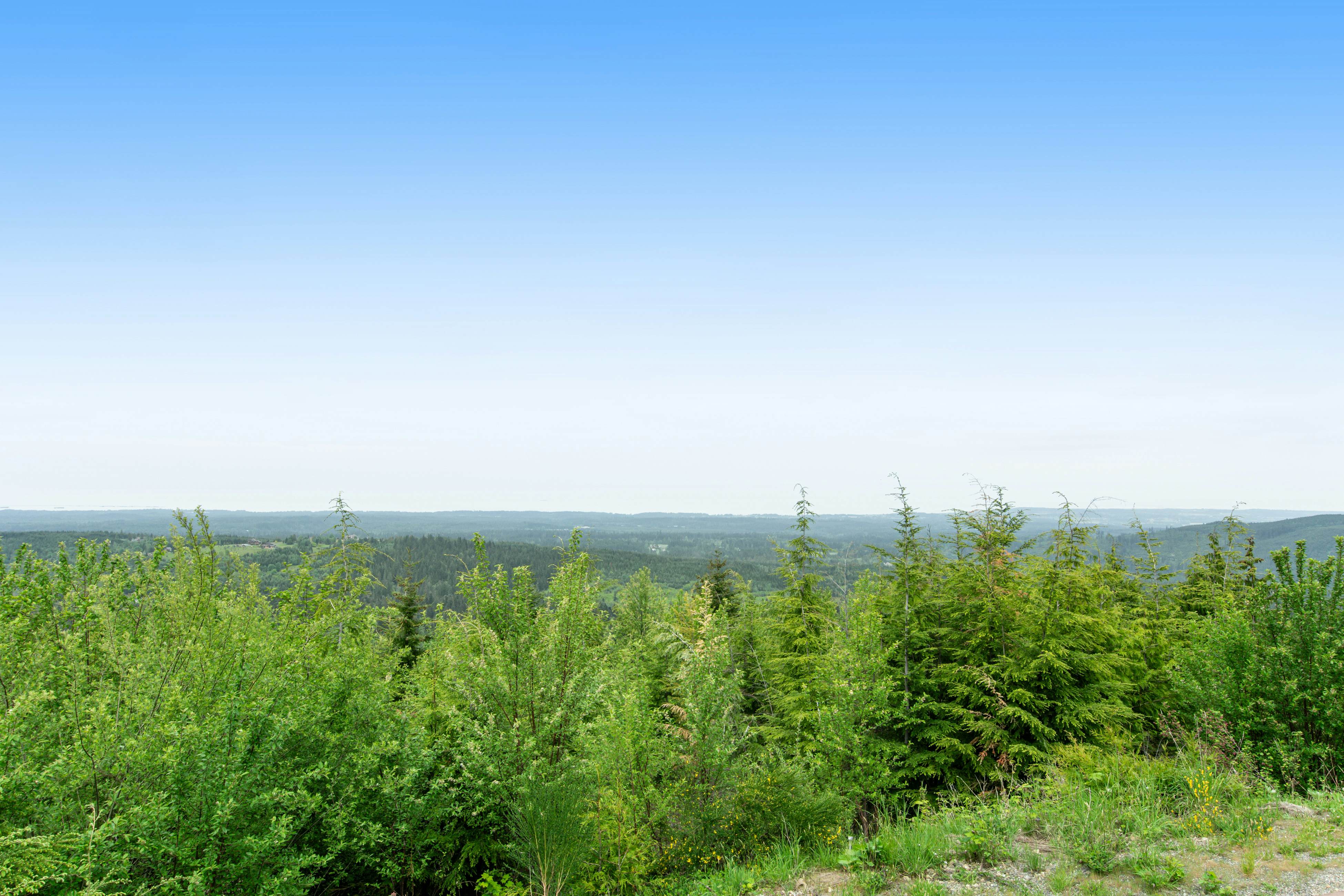 Port Angeles Blue Mountain Lodge with Bunkhouse