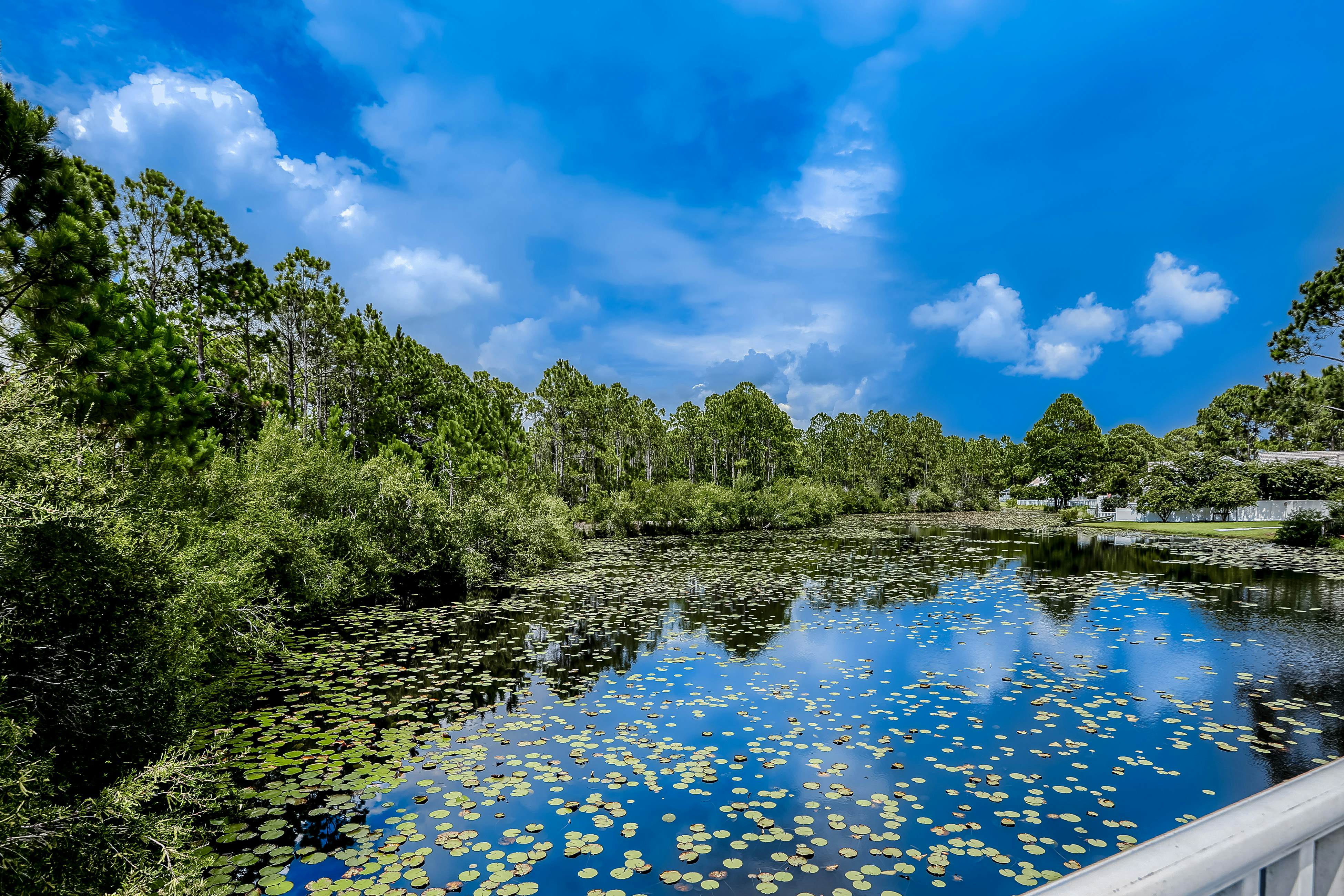 Seagrove Highlands 2408 - The Horizon