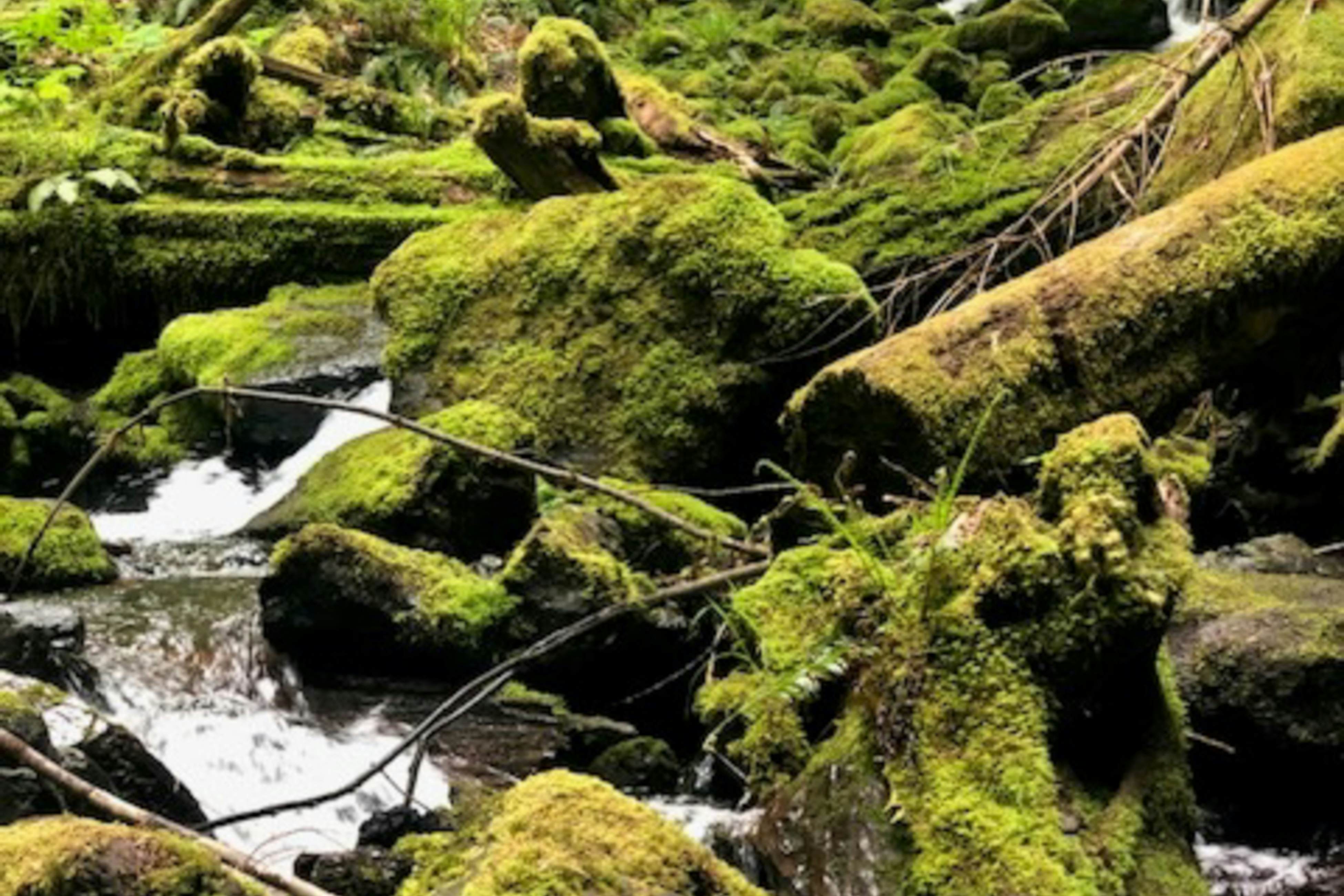 hidden image preload