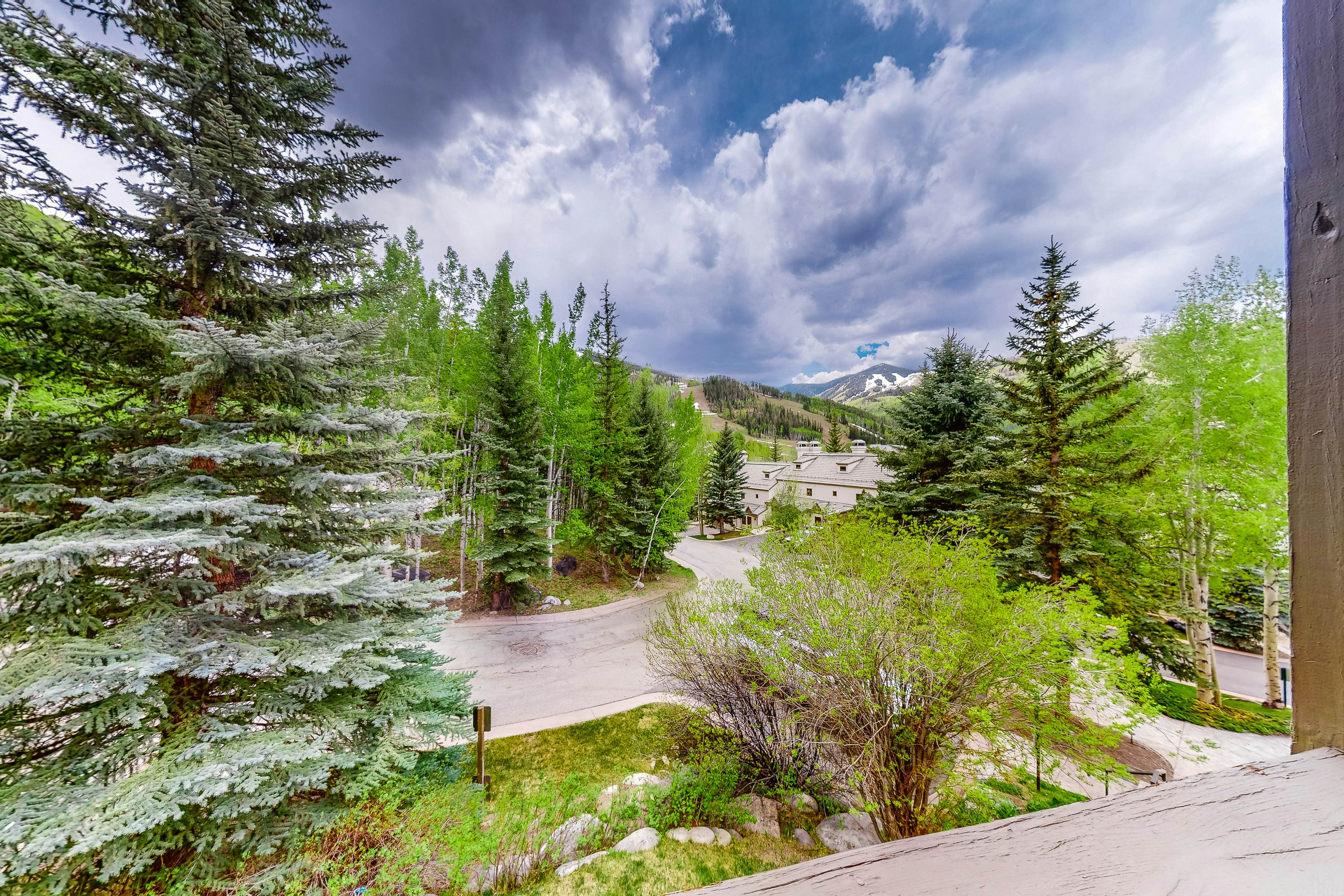 Beaver Creeks Meadows