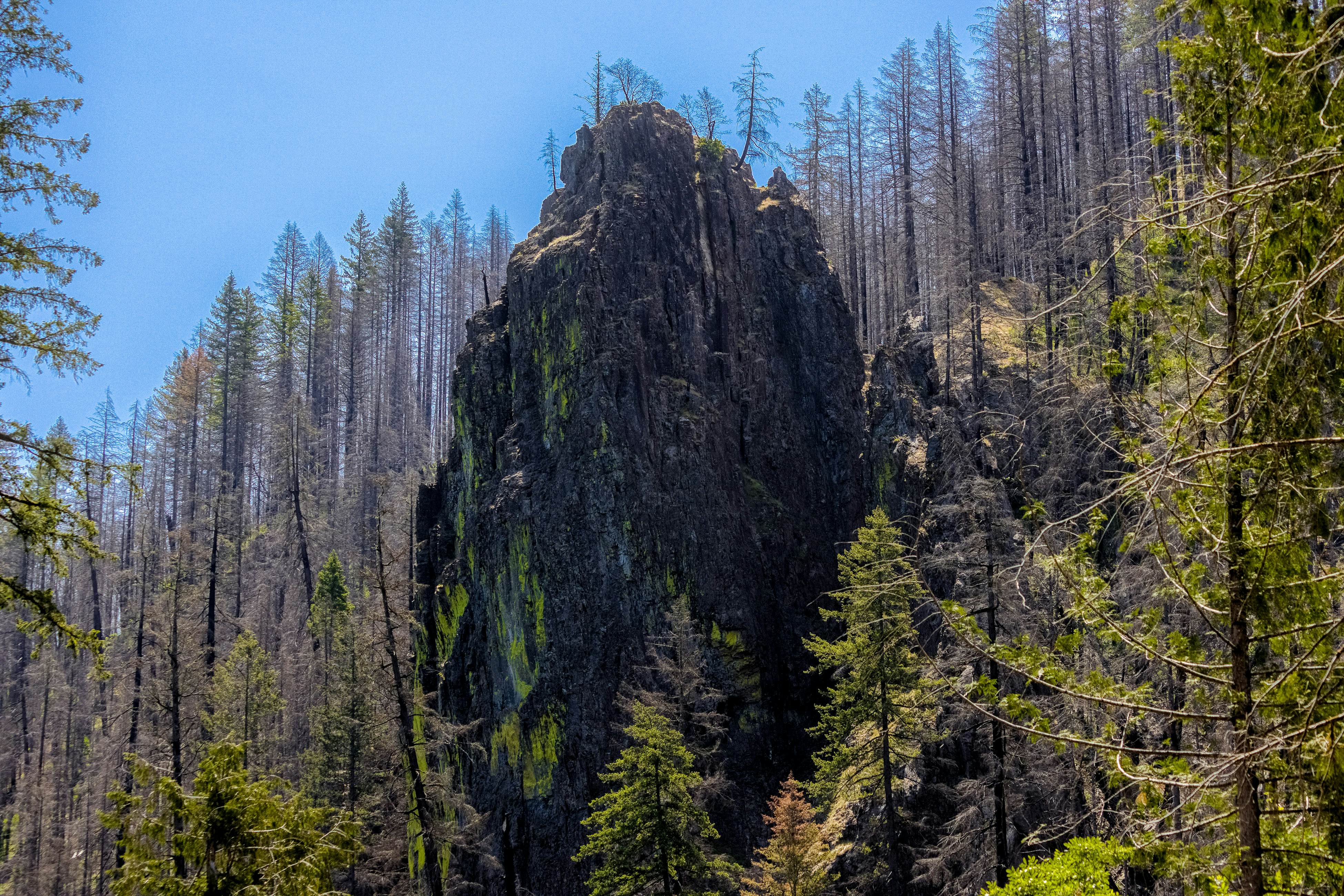 McKenzie River Retreat