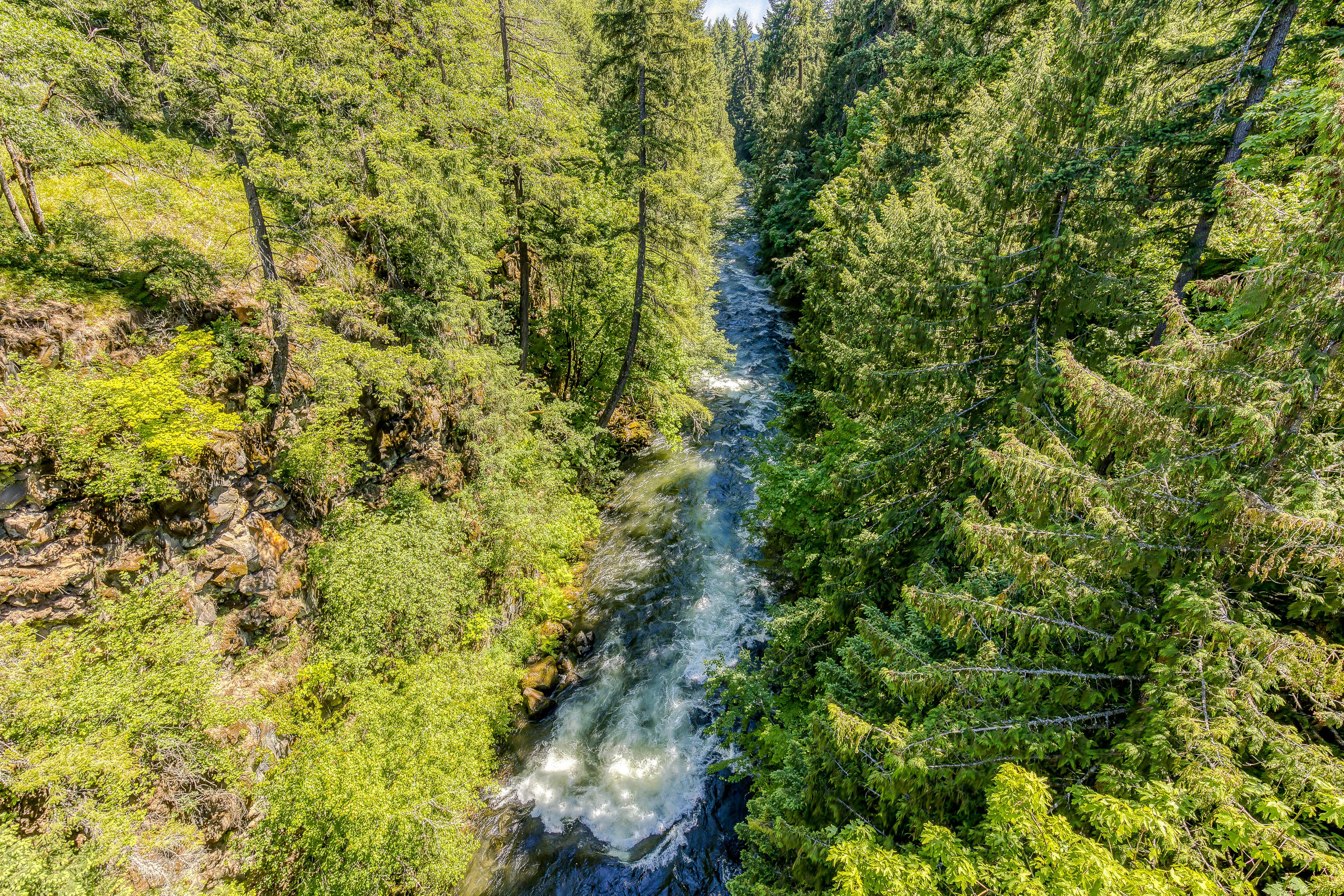 The Logs Birds Paradise