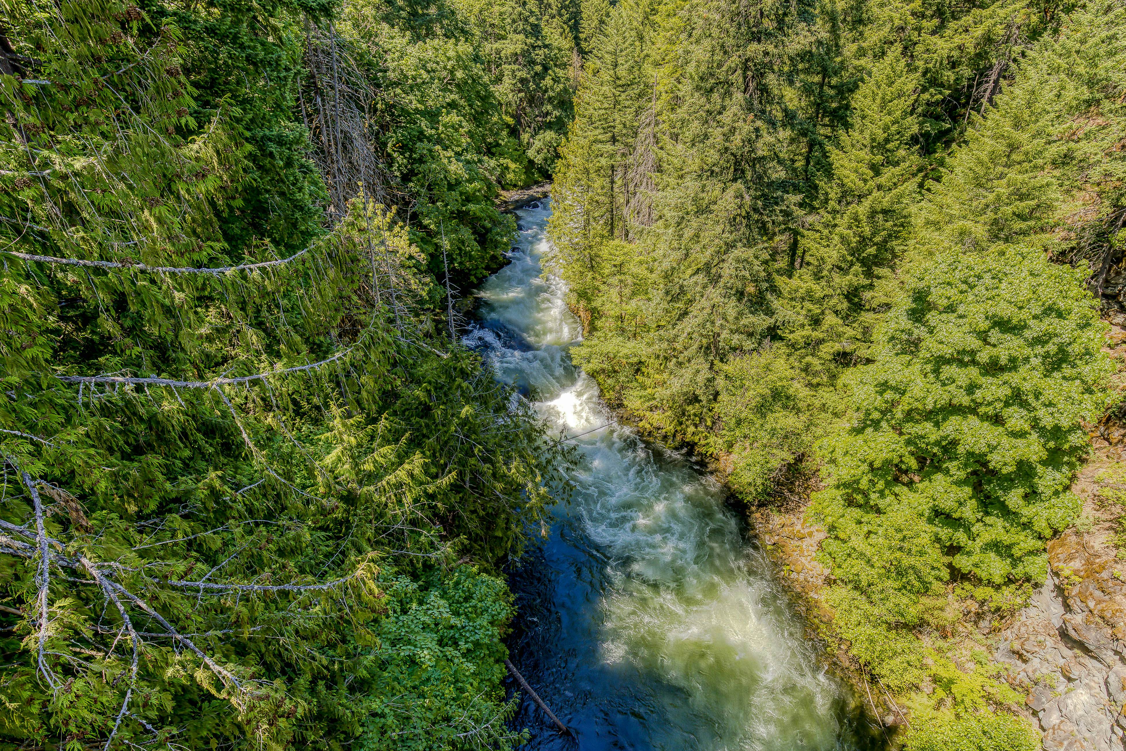 The Logs Birds Paradise