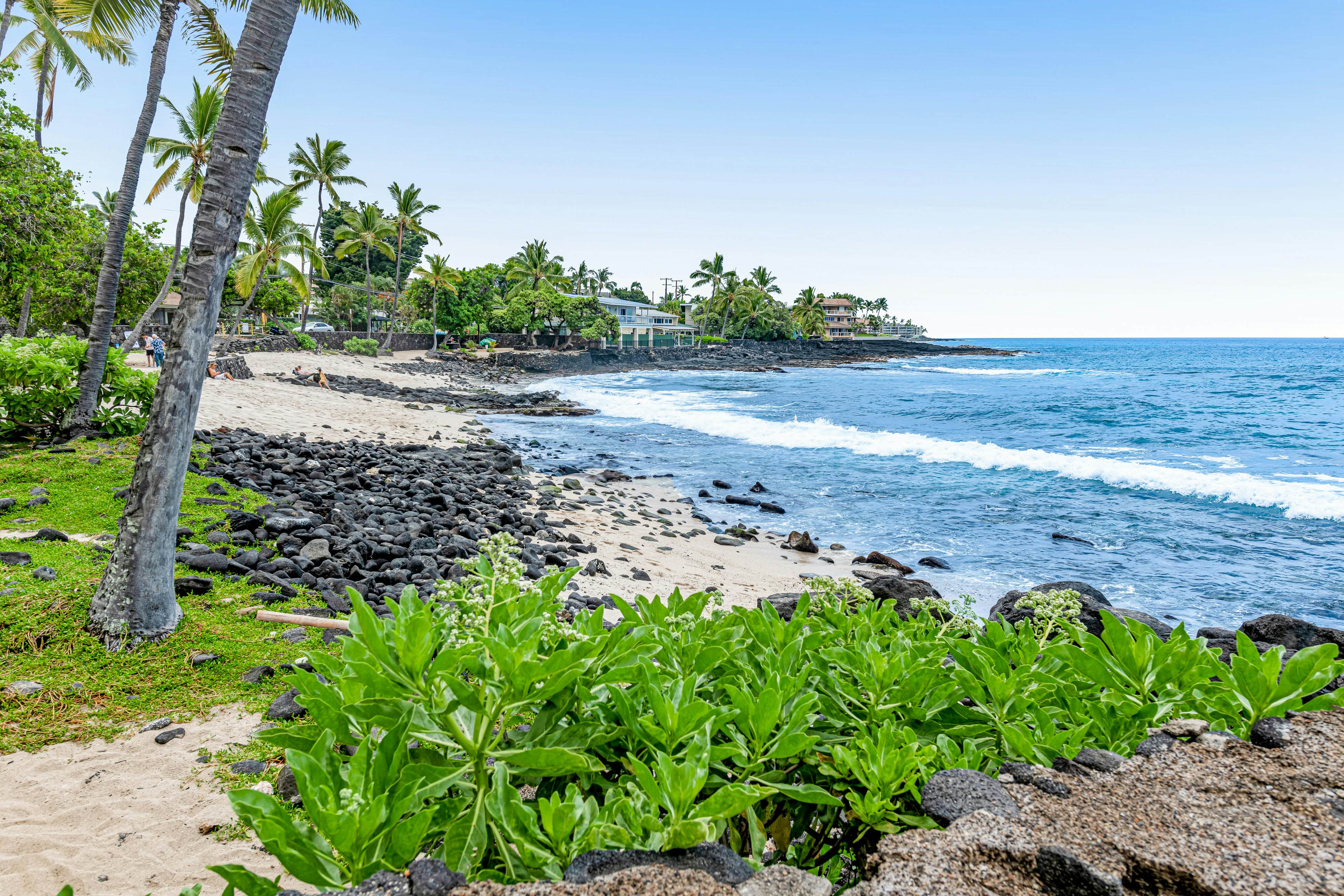 Kona Reef Oceanfront Condo, D6
