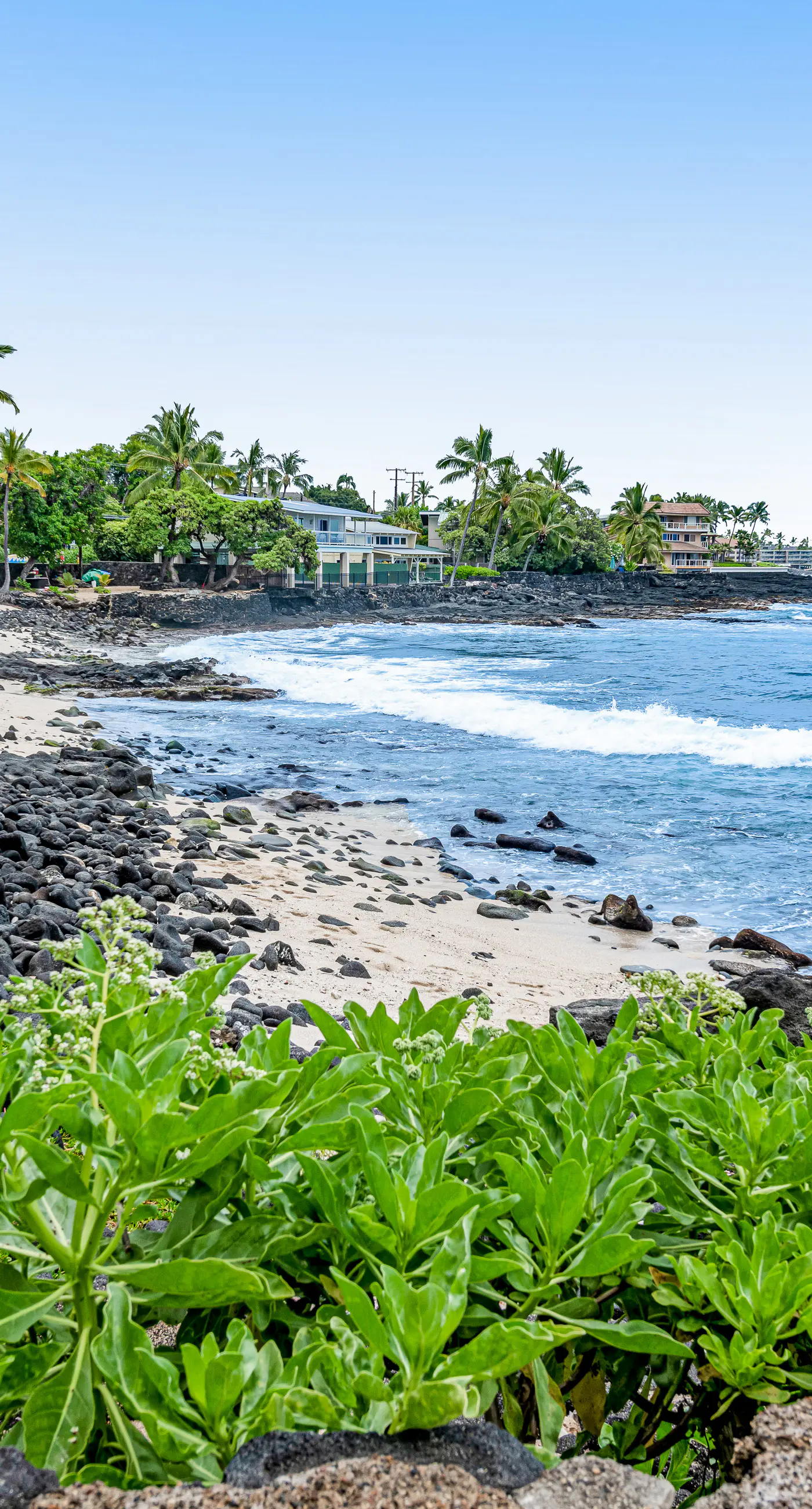 Kona Reef Oceanfront Condo, D6 1 BD KailuaKona, HI Vacation Rental