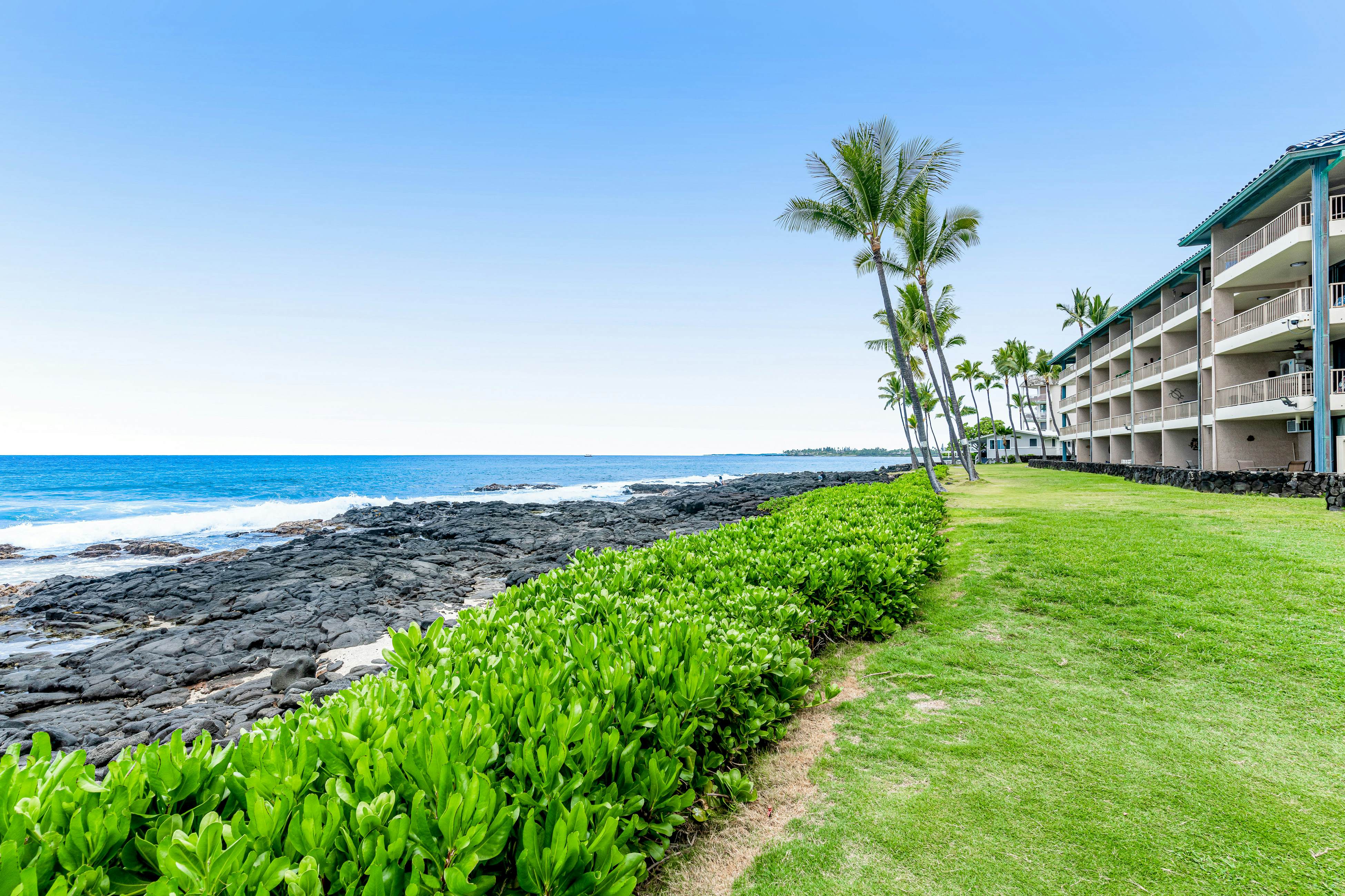 Kona Reef Oceanfront Condo, D6