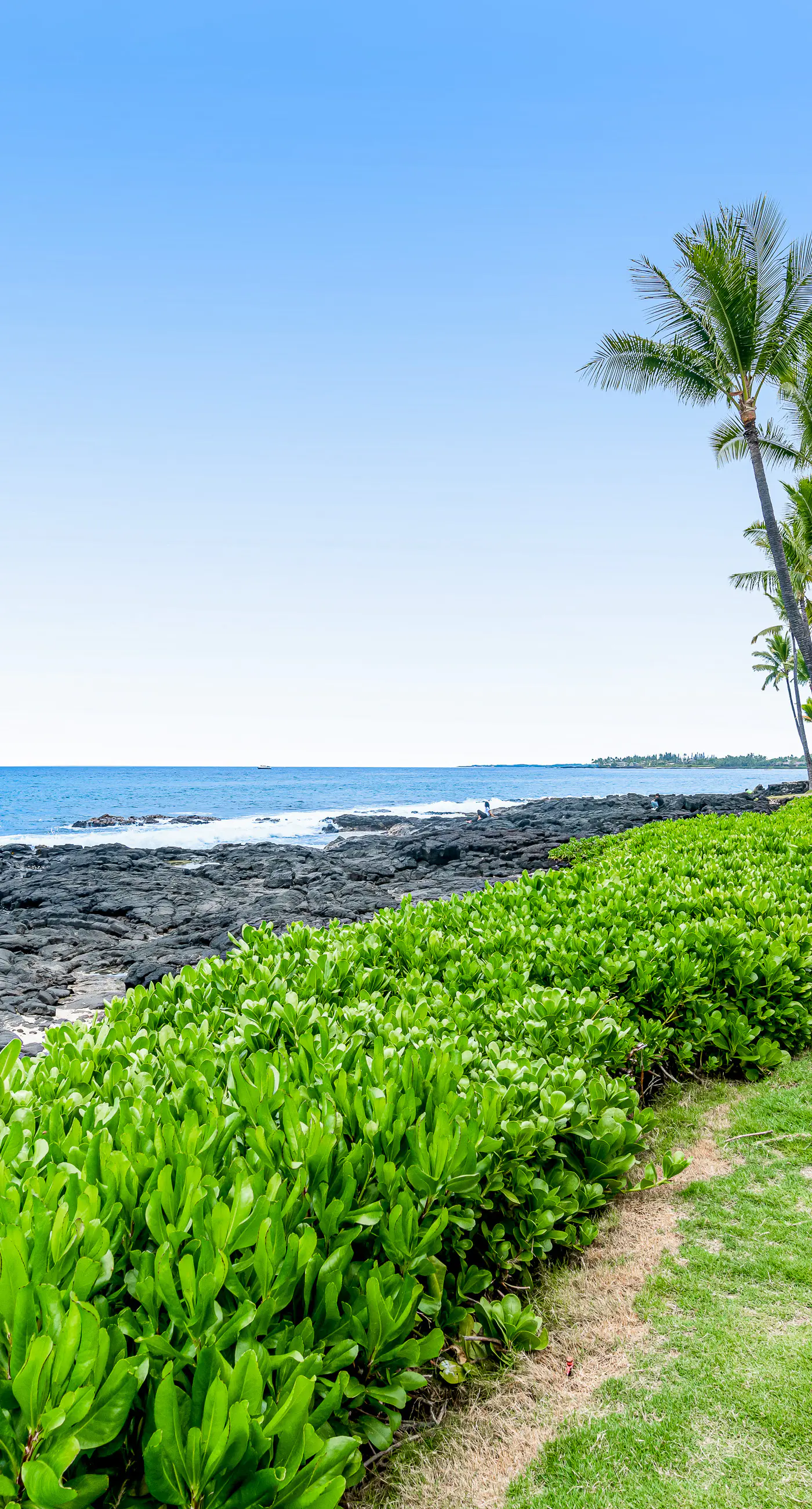 Kona Reef Oceanfront Condo, D6 1 BD KailuaKona, HI Vacation Rental