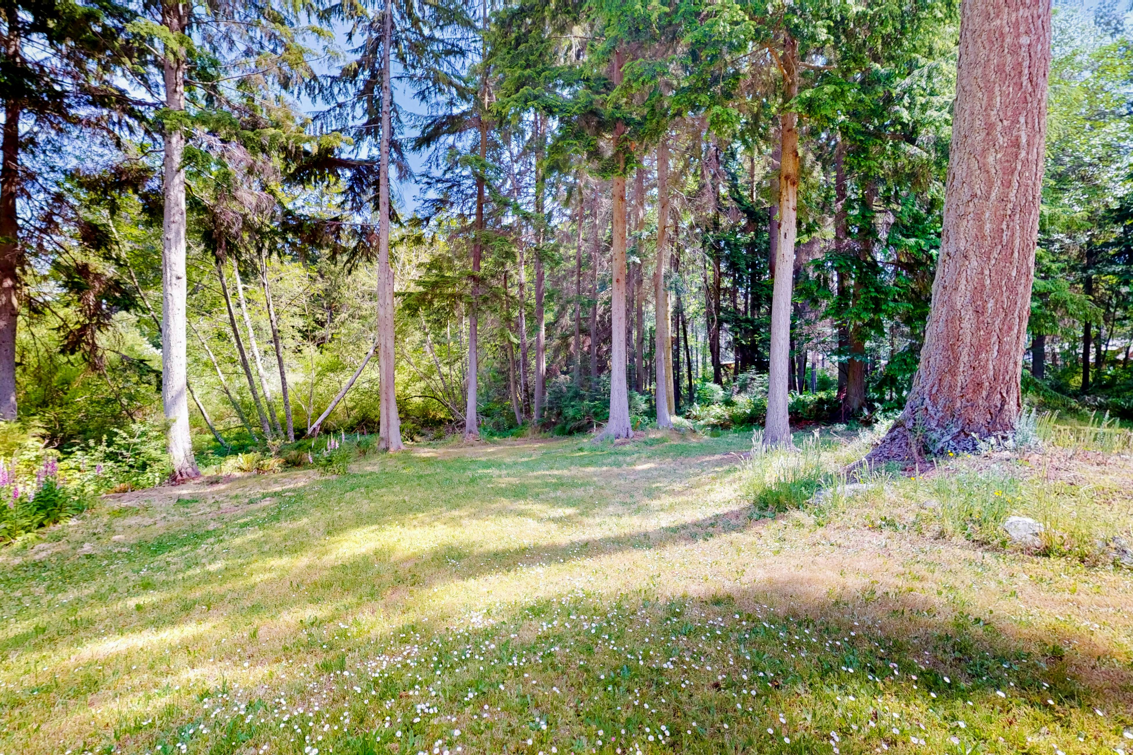 Silver Lake Splendor