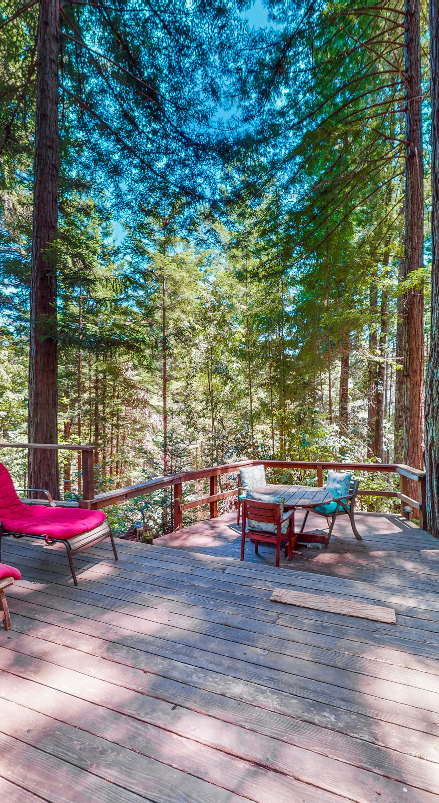 Settle into your private redwood-canopy deck where cushioned loungers and a bubbling hot tub create your own Cazadero forest spa beneath the treetops.