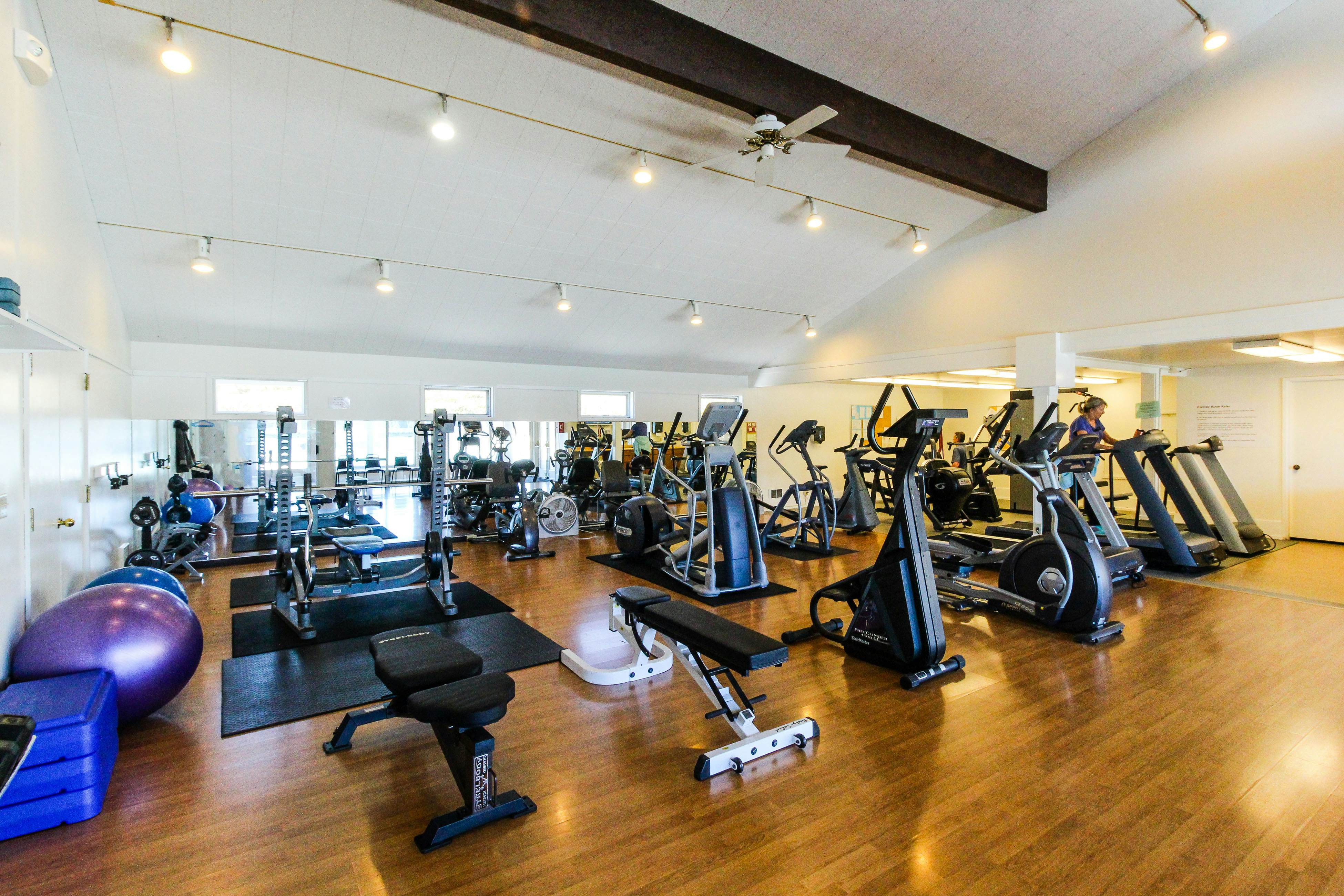 Ludlow Seaside Hale'